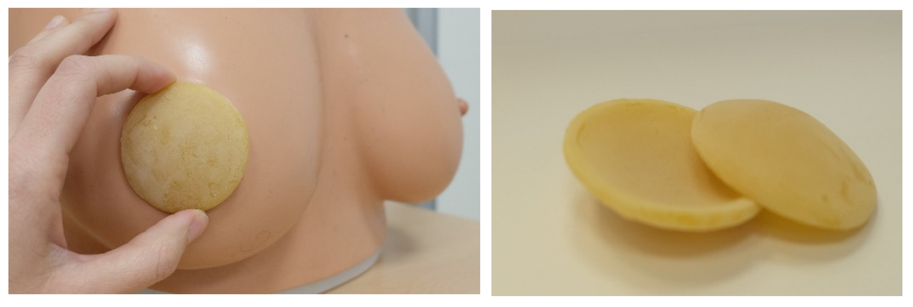 Healthcare 13 01330 g001