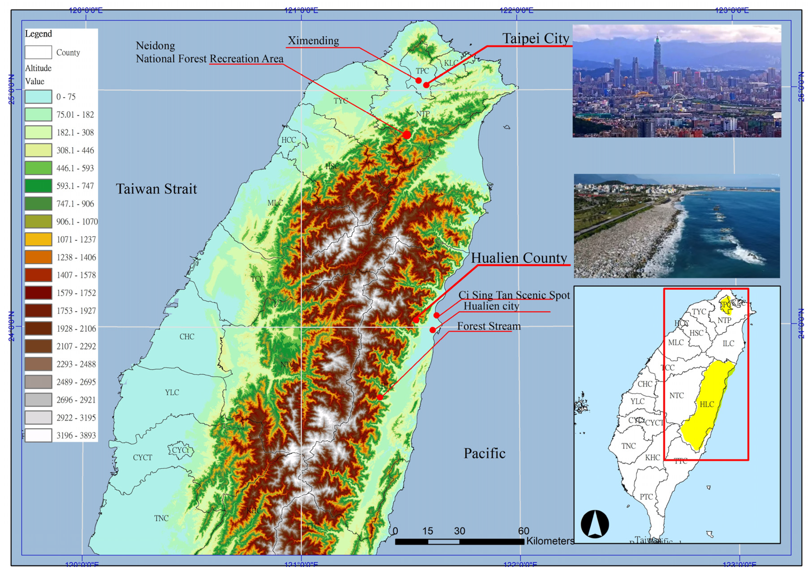 Healthcare 13 01353 g001