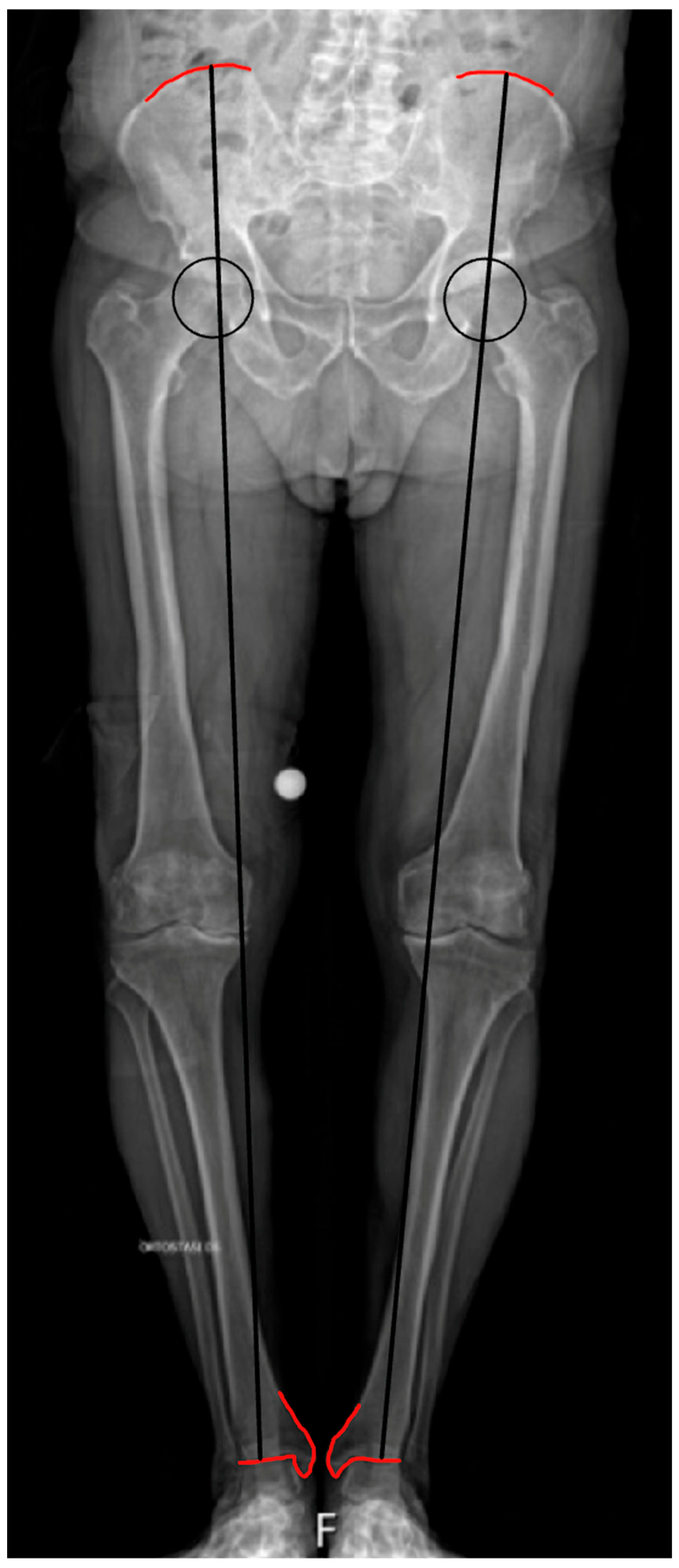 Healthcare 13 01358 g001