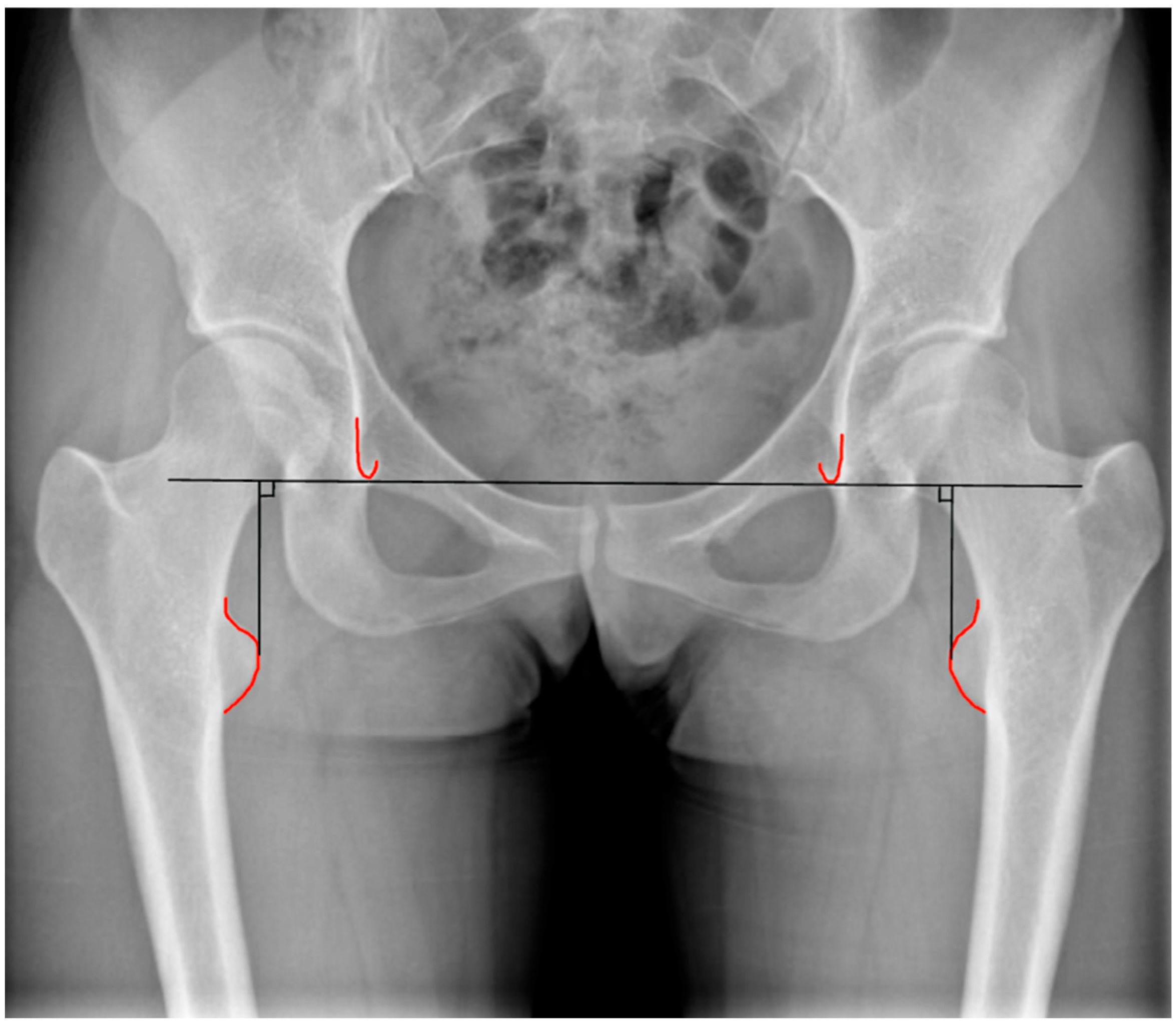 Healthcare 13 01358 g002