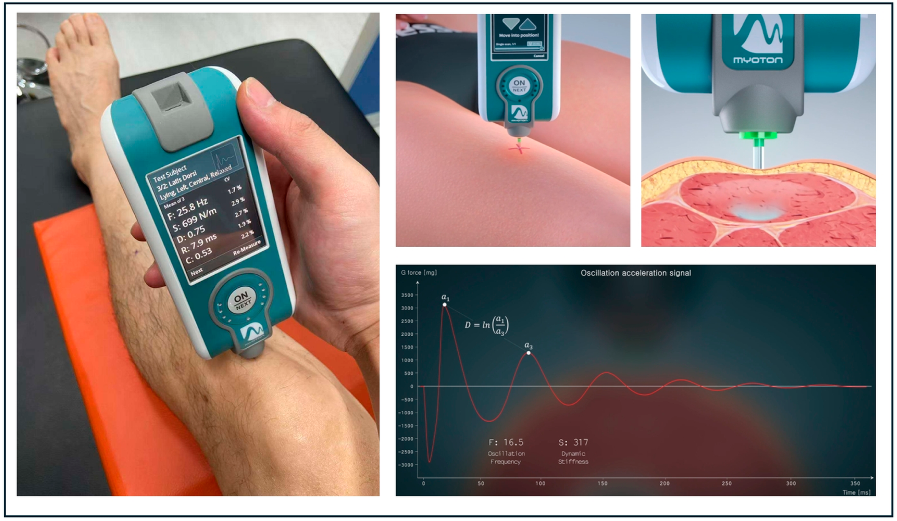 Healthcare 13 01375 g001