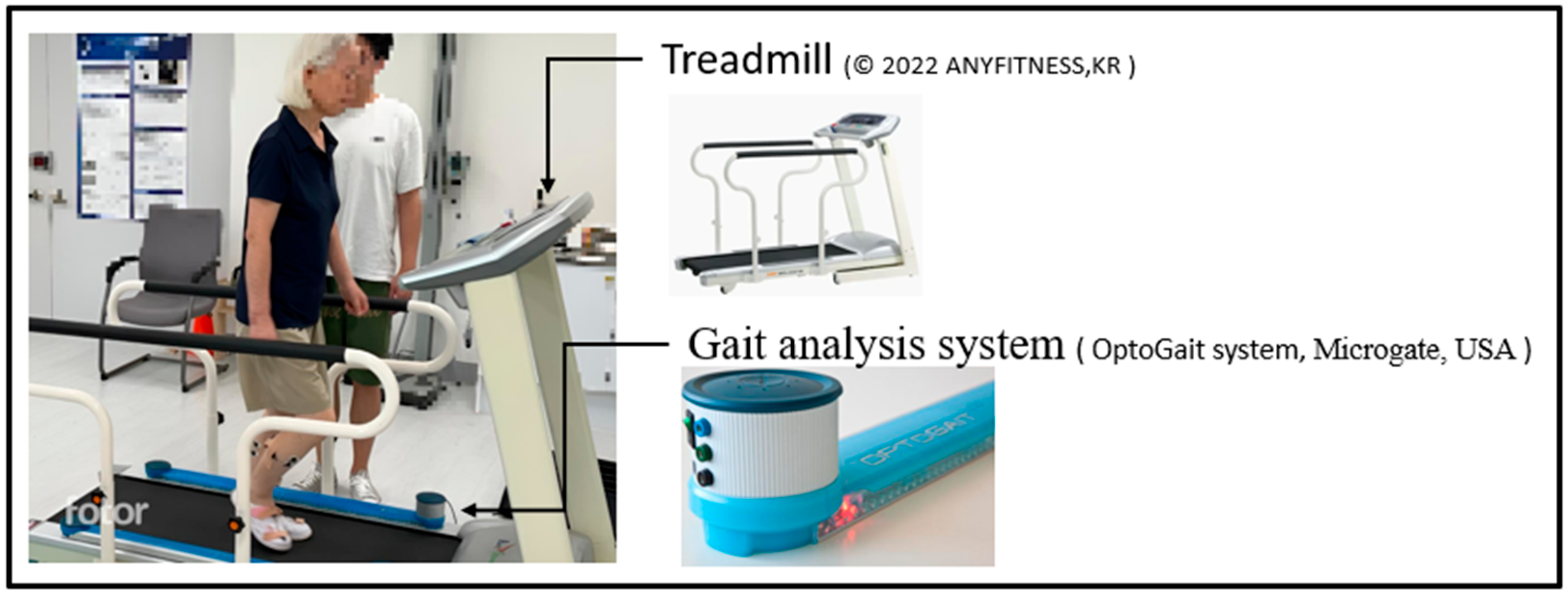 Healthcare 13 01375 g002