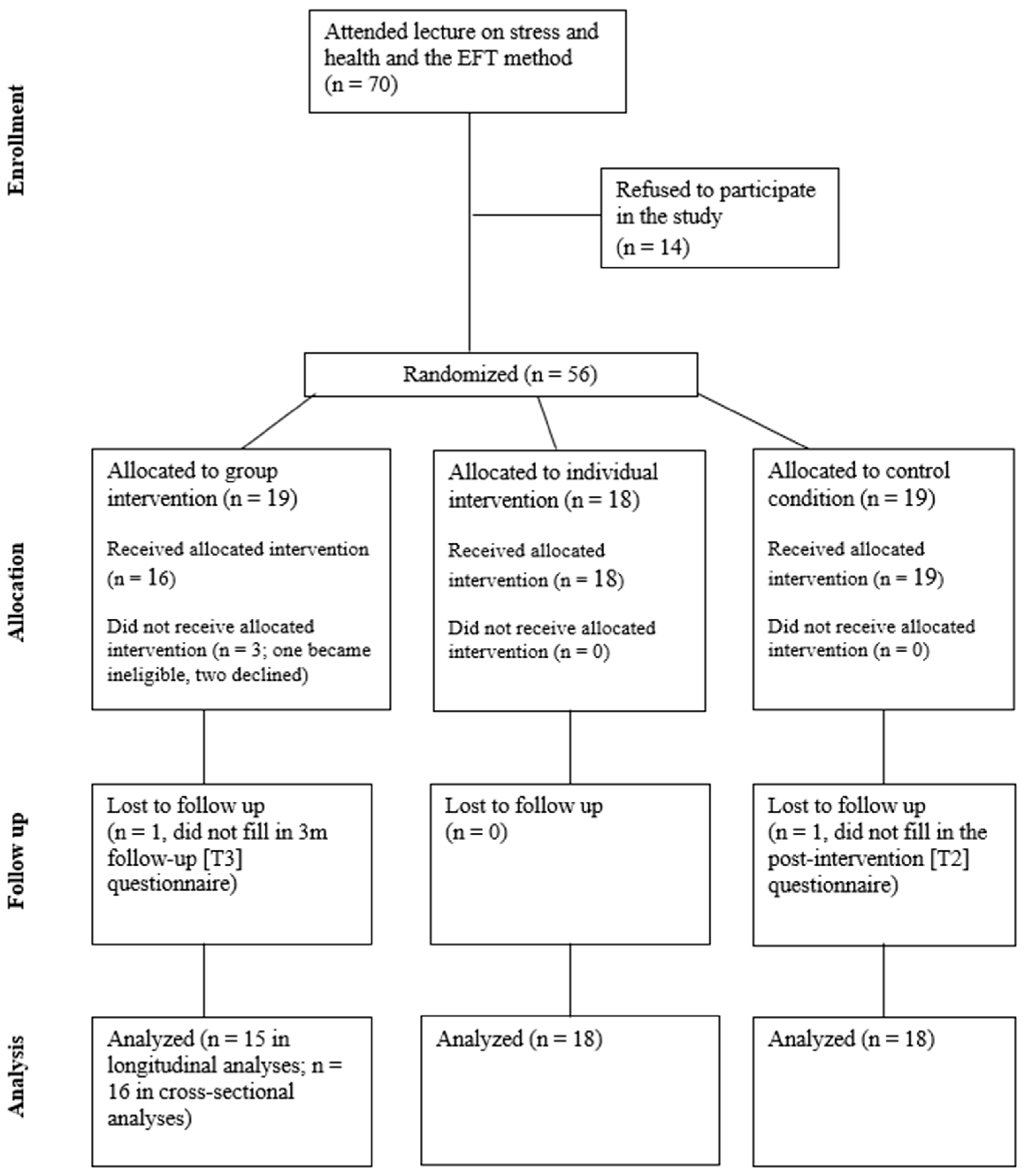 Healthcare 13 01420 g001