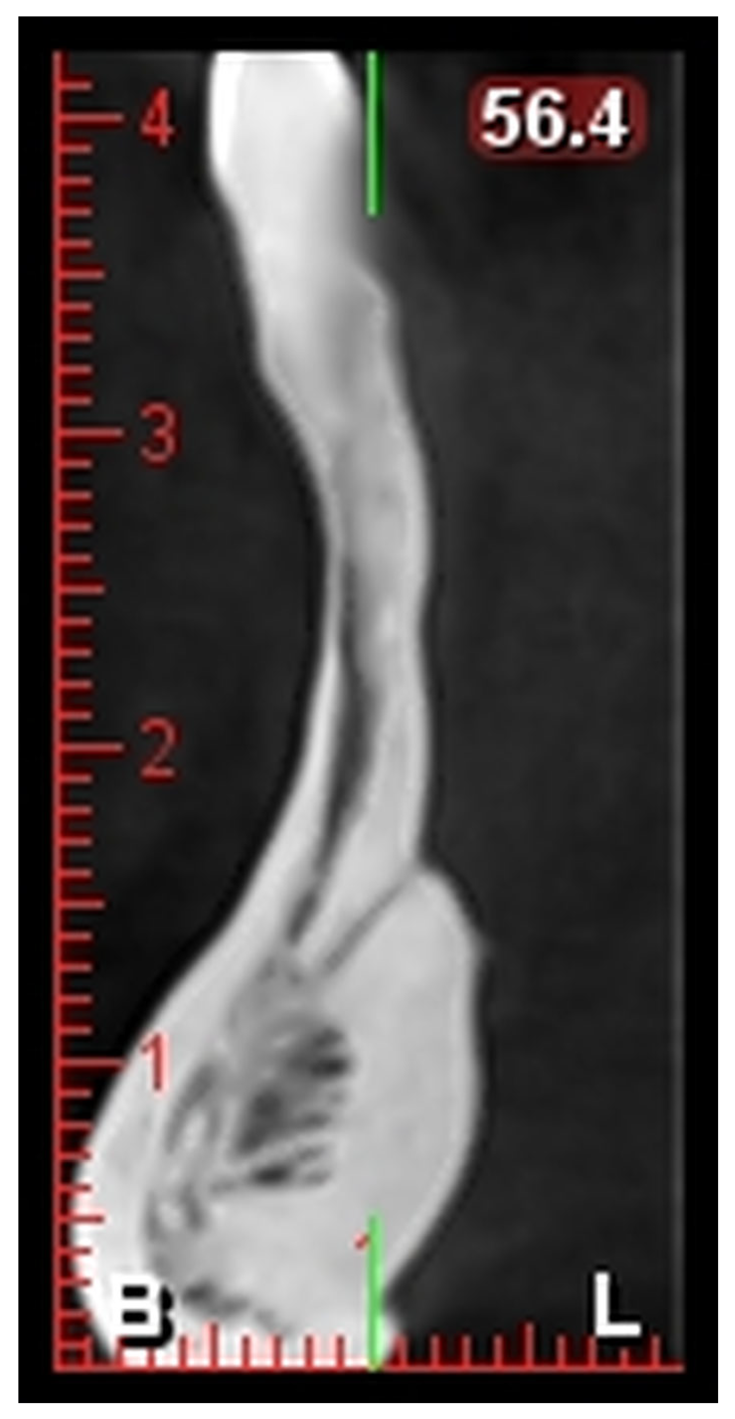 Healthcare 13 01515 g001