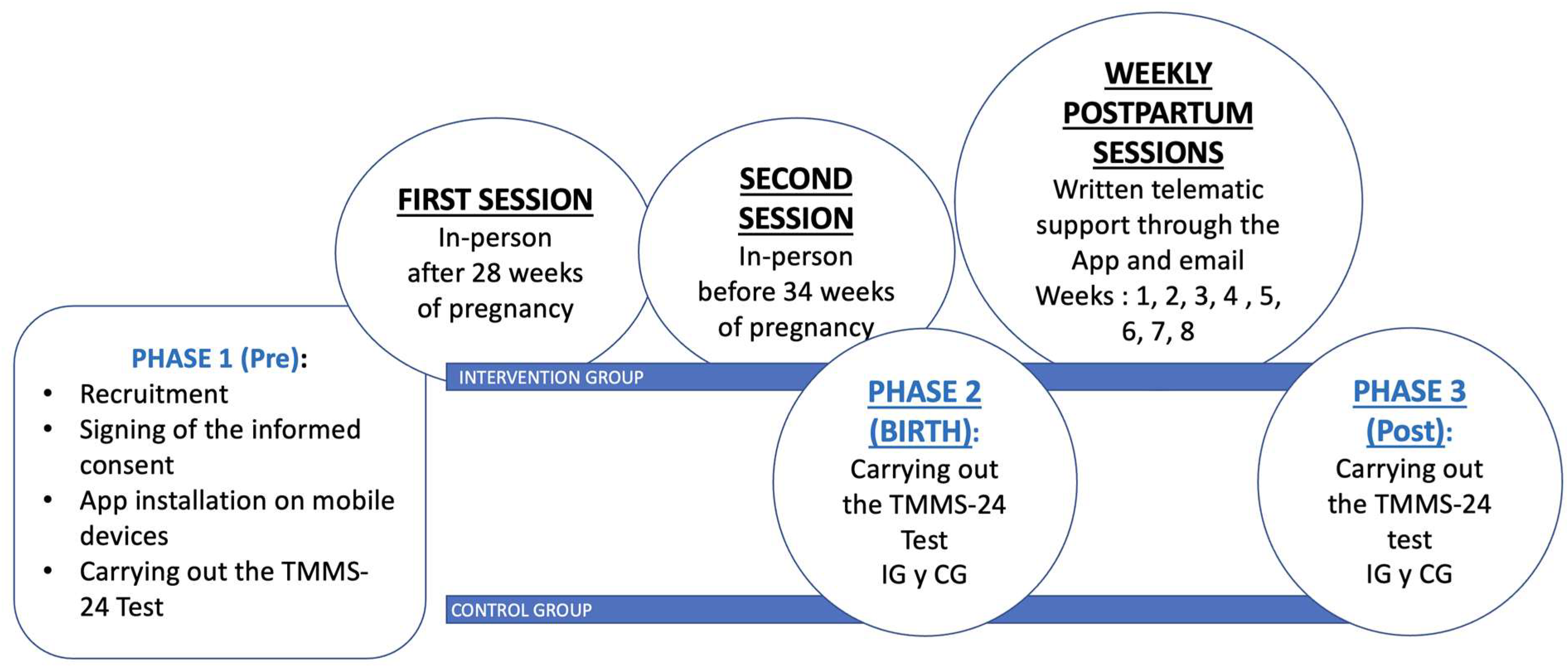 Healthcare 13 01542 g001