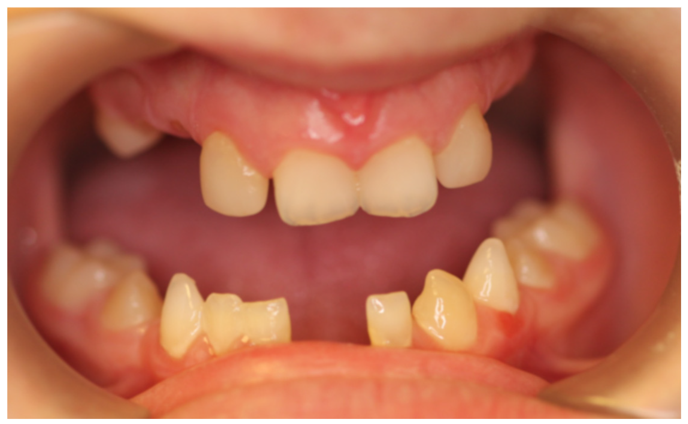 Healthcare 13 01543 g001