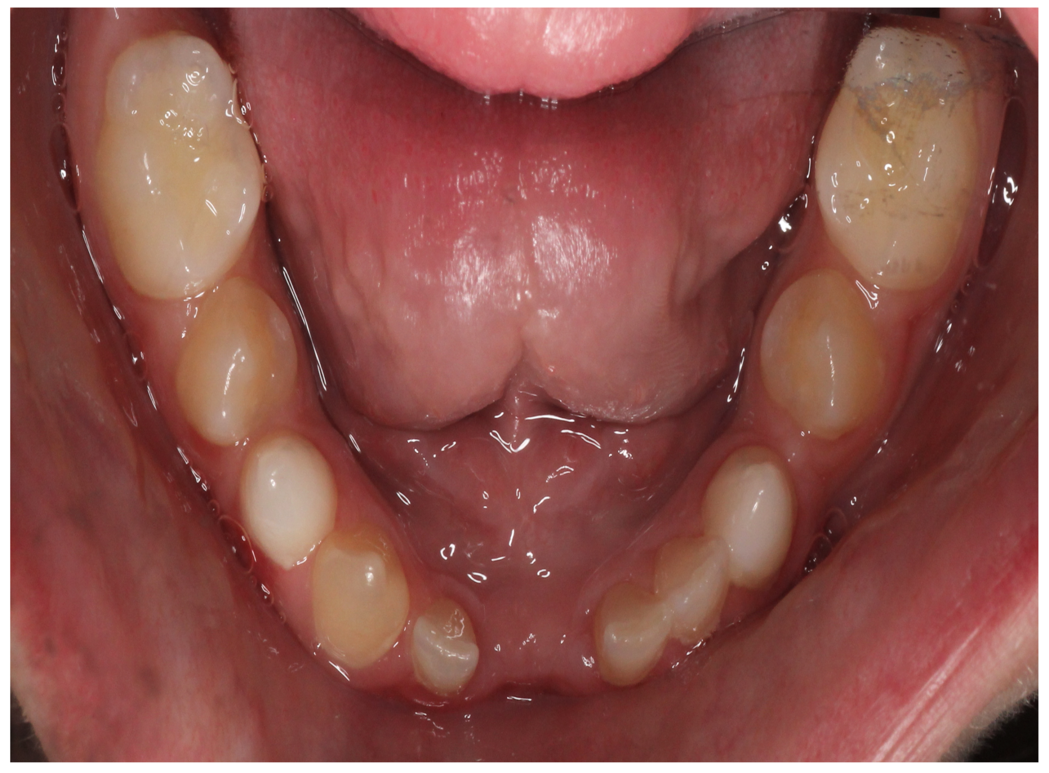 Healthcare 13 01543 g003