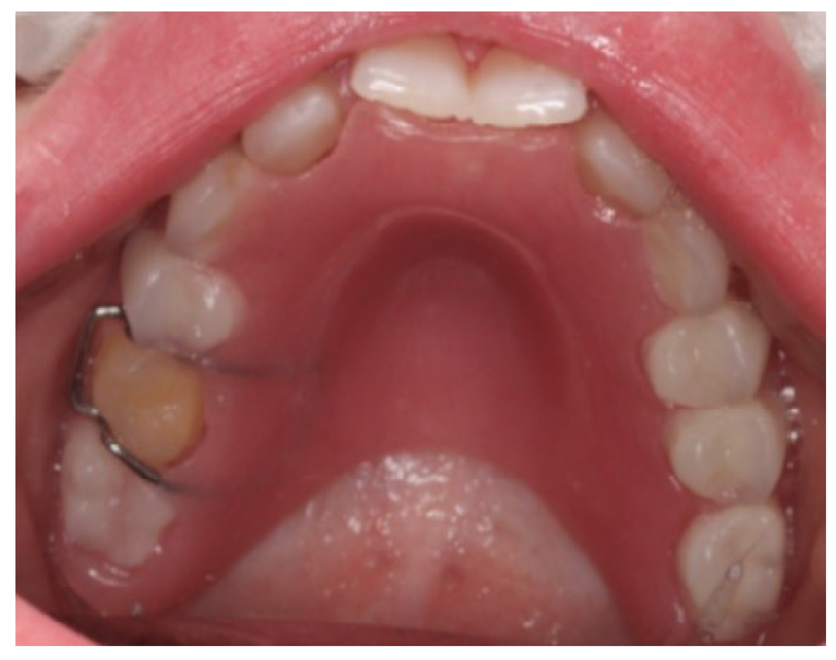 Healthcare 13 01543 g008