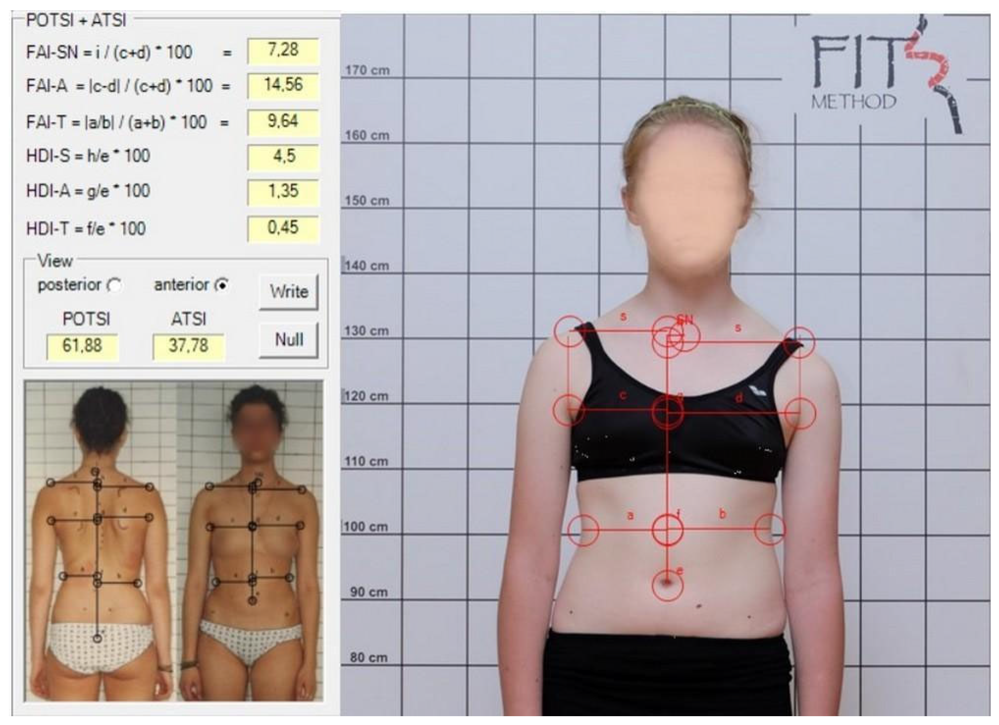 Healthcare 13 01551 g001