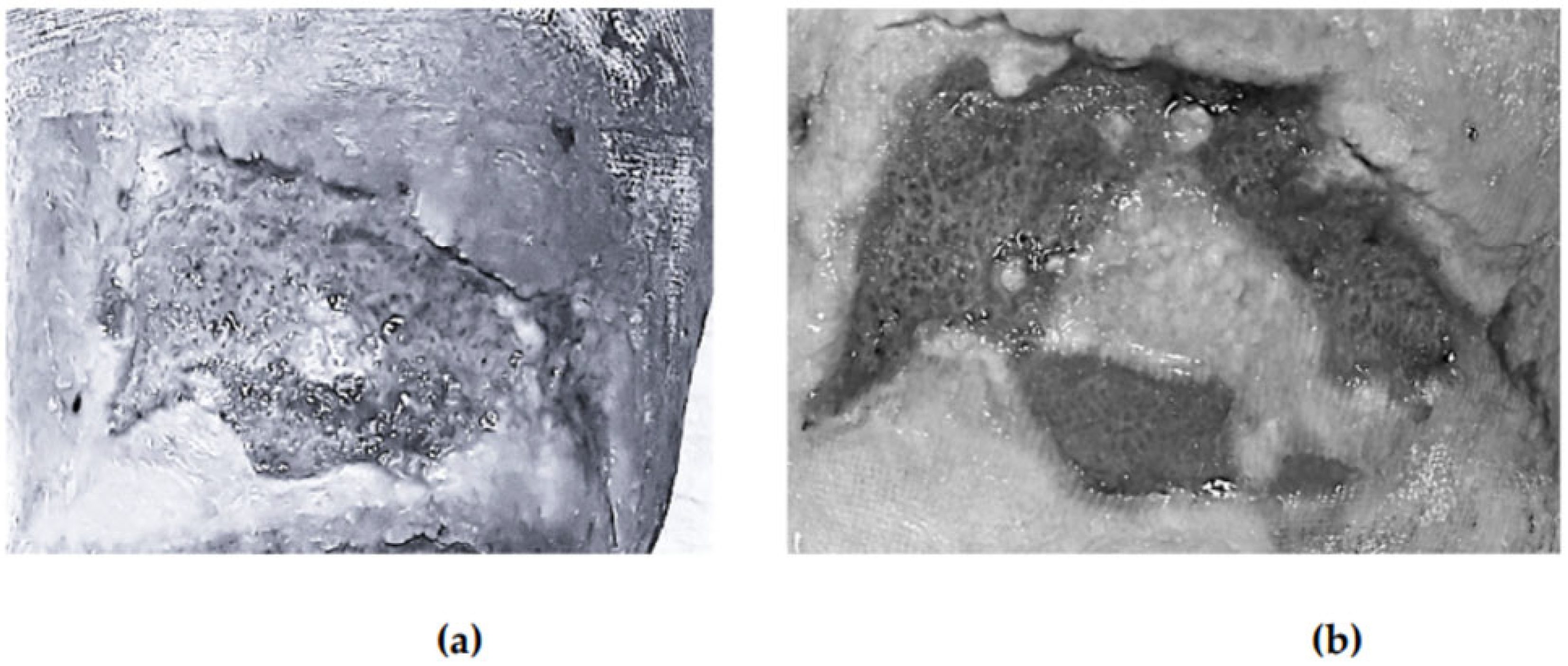 Healthcare 13 01652 g001