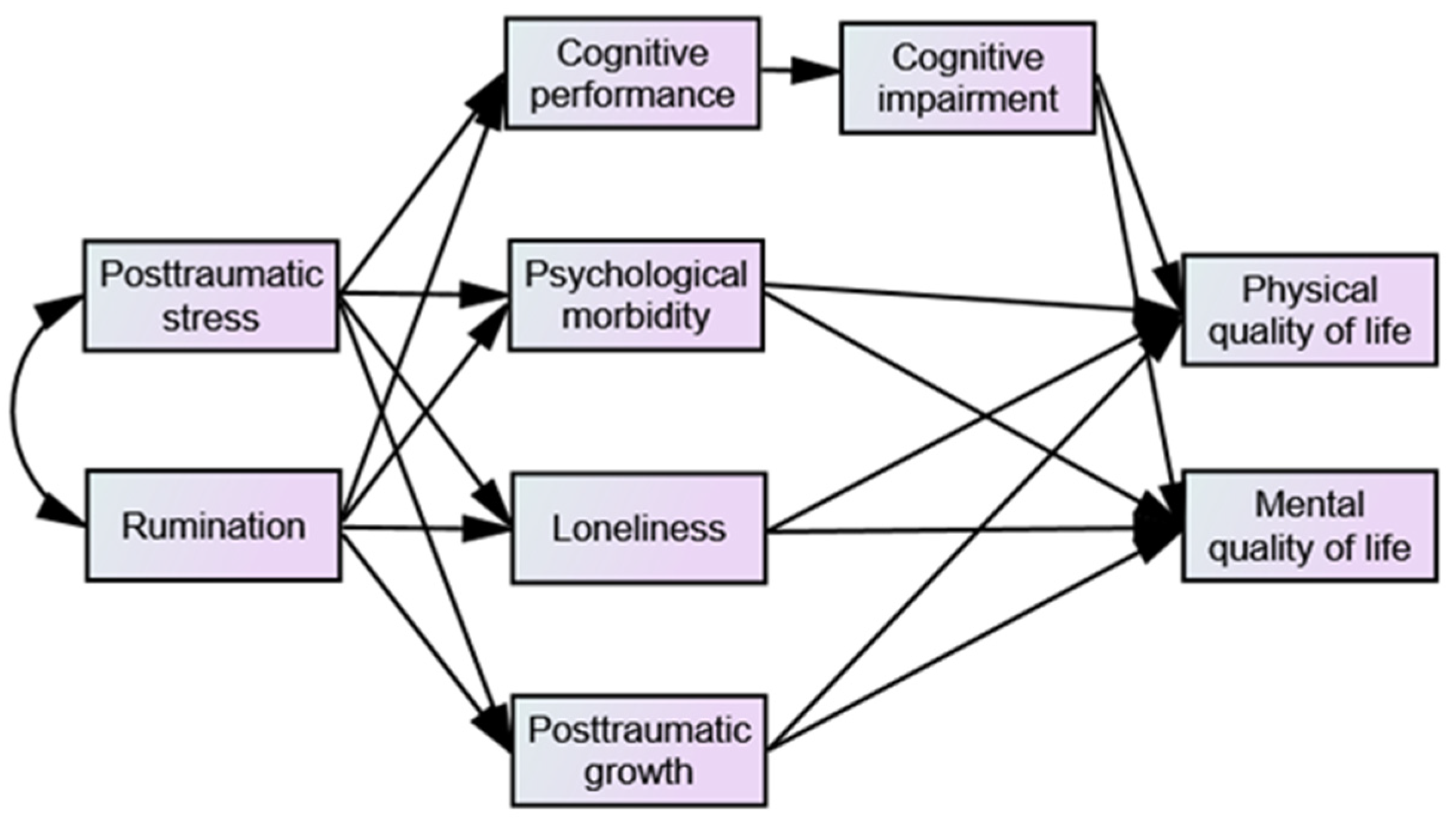 Healthcare 13 01655 g001