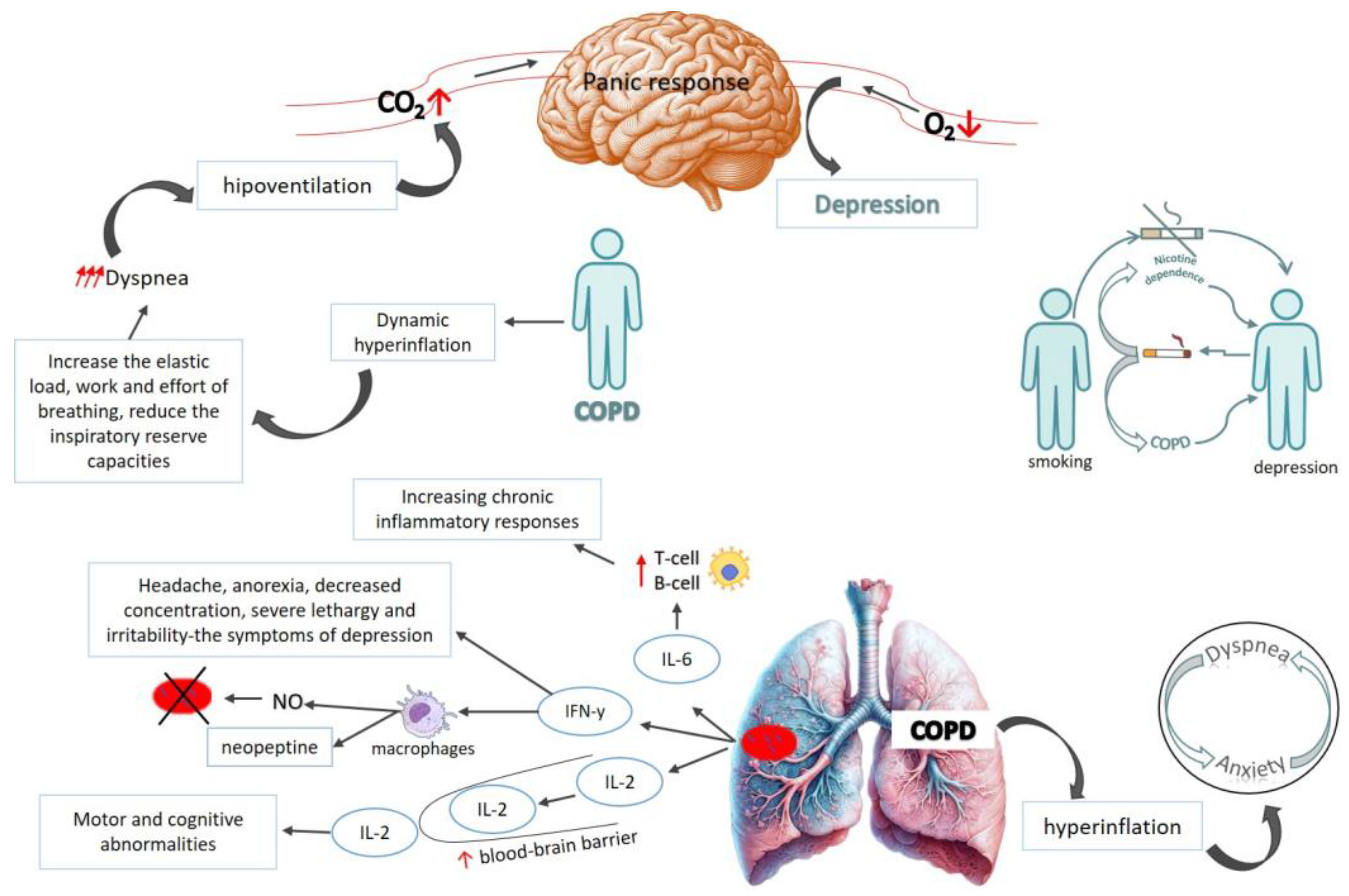 Healthcare 13 01699 g002 Healthcare 13 01699 g002