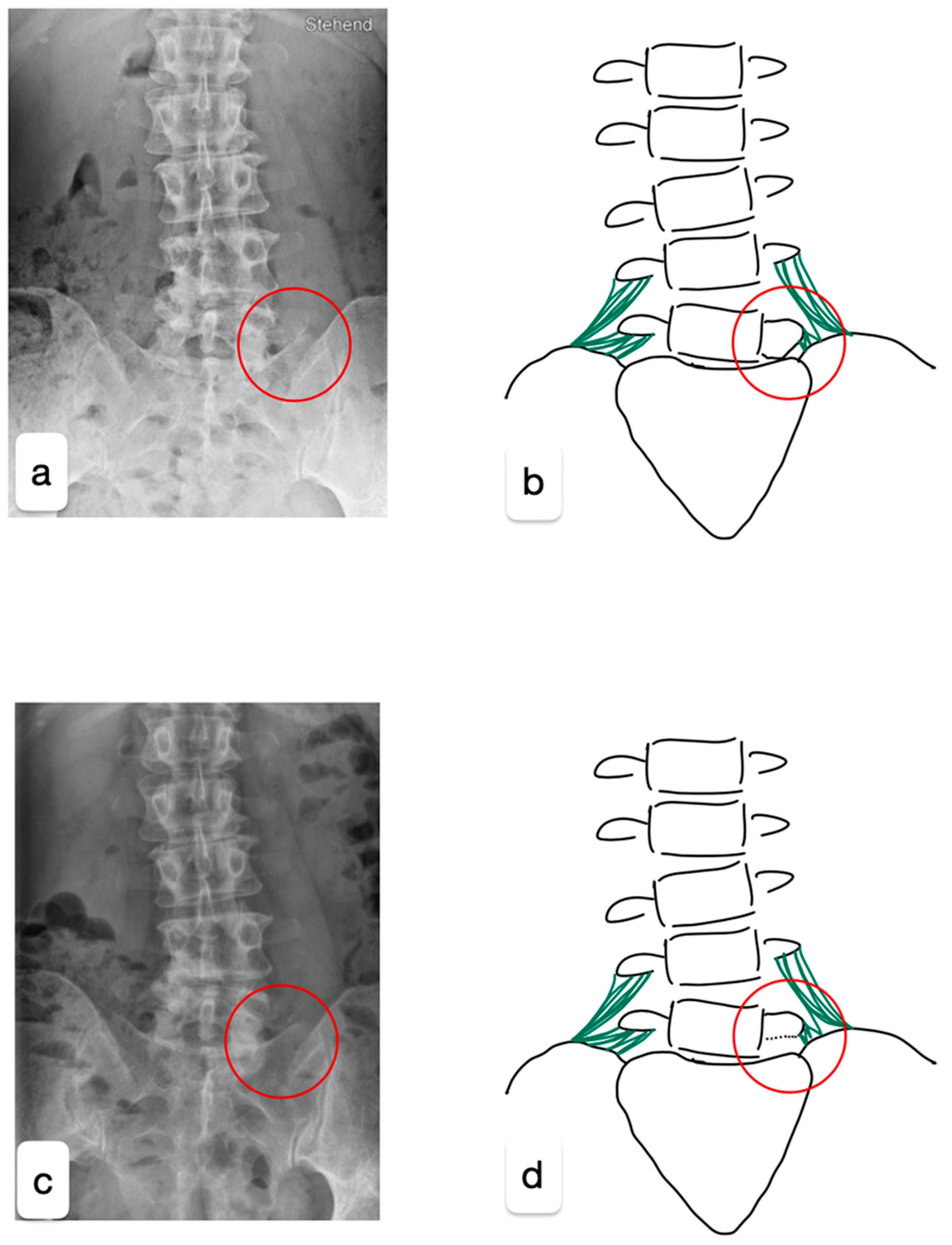 Healthcare 13 01712 g001