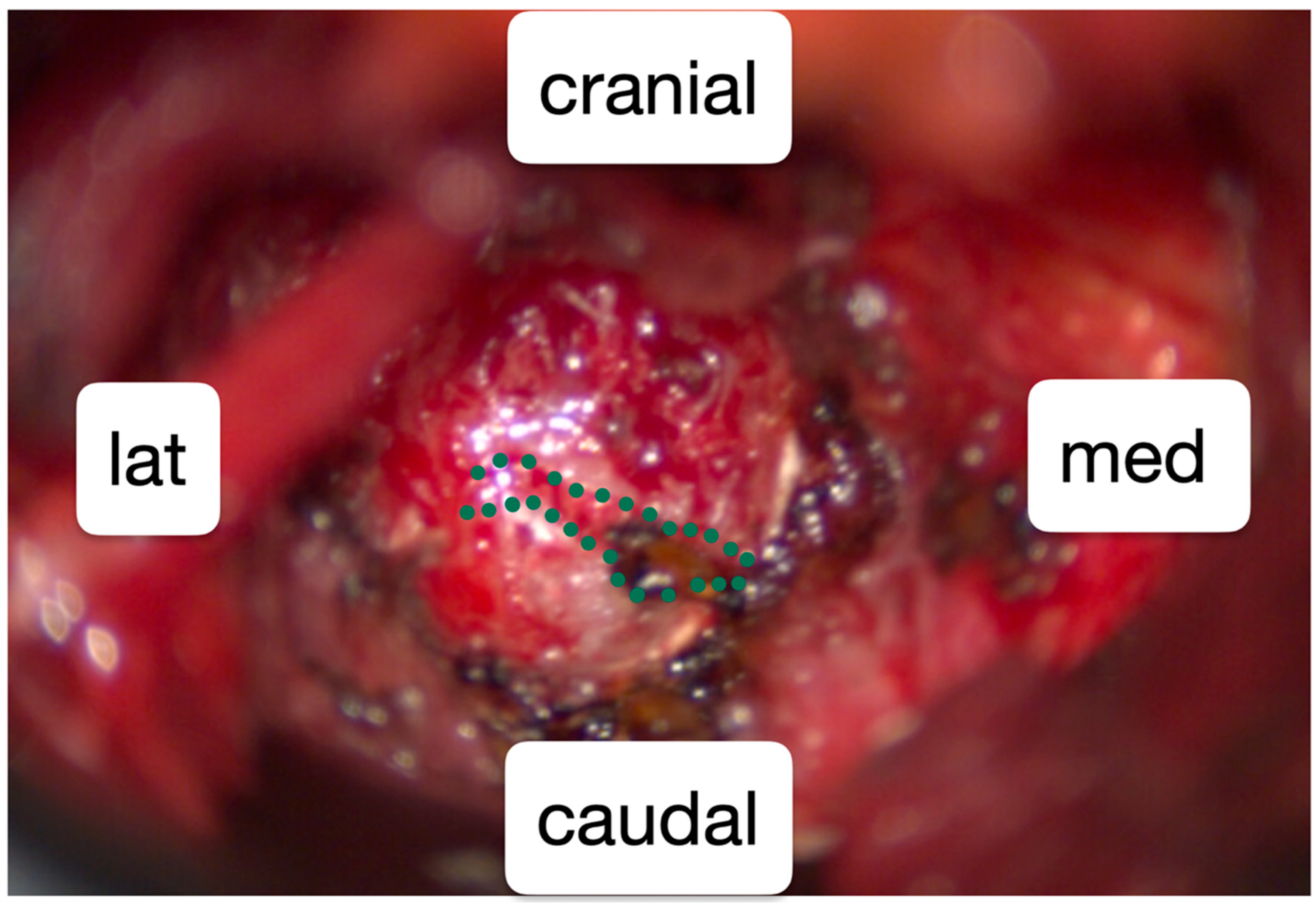 Healthcare 13 01712 g002