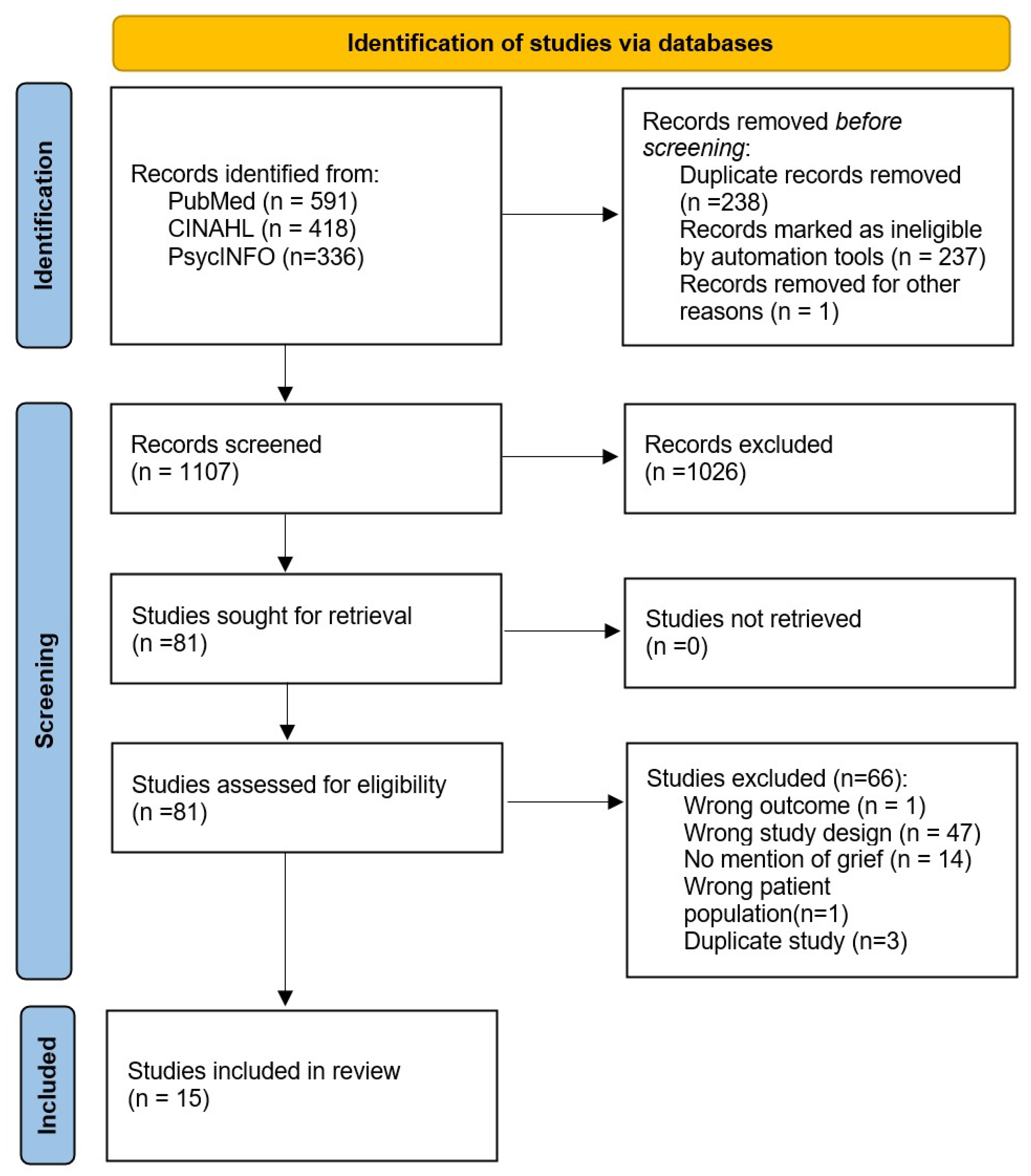 Healthcare 13 01722 g001