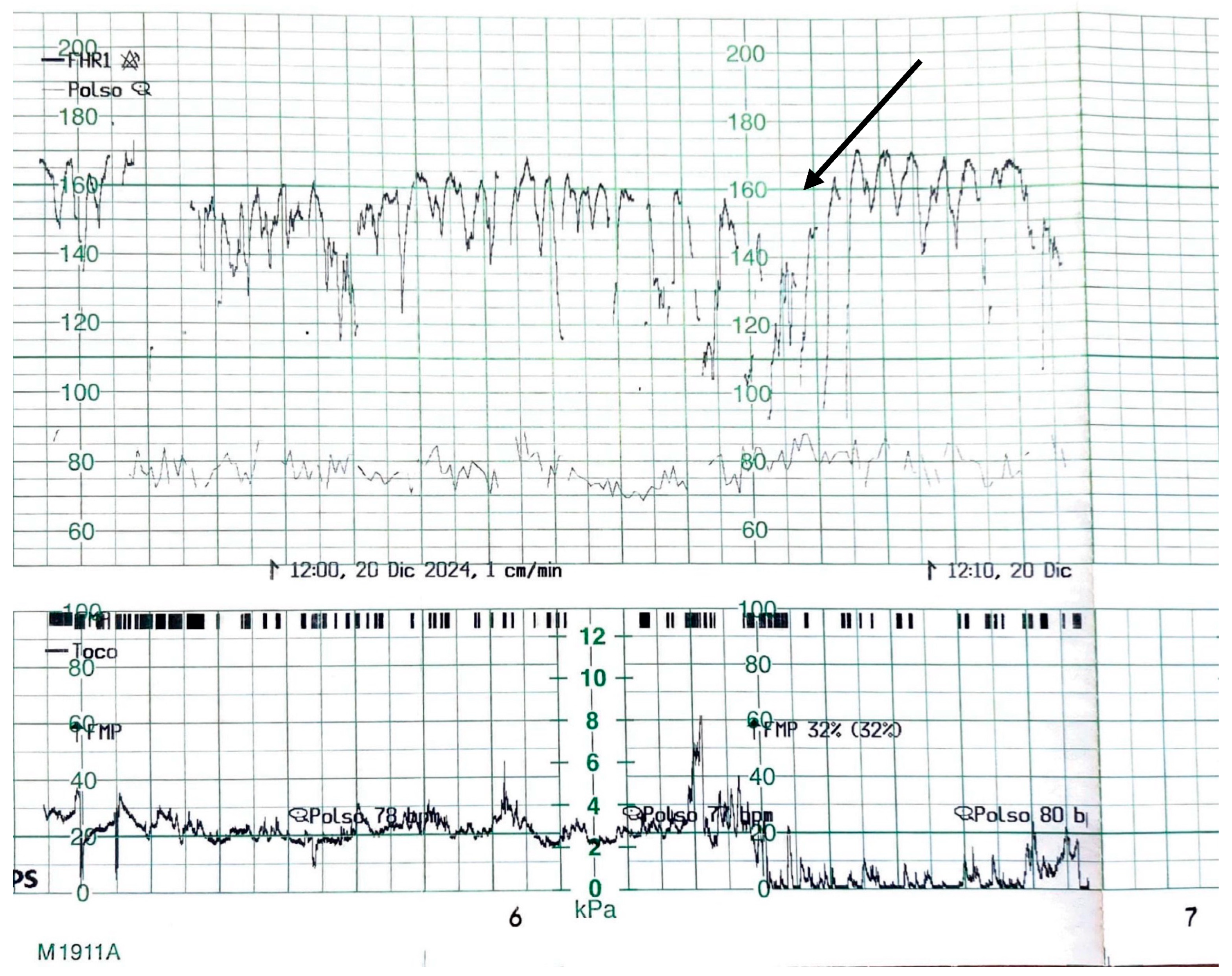 Healthcare 13 01726 g001