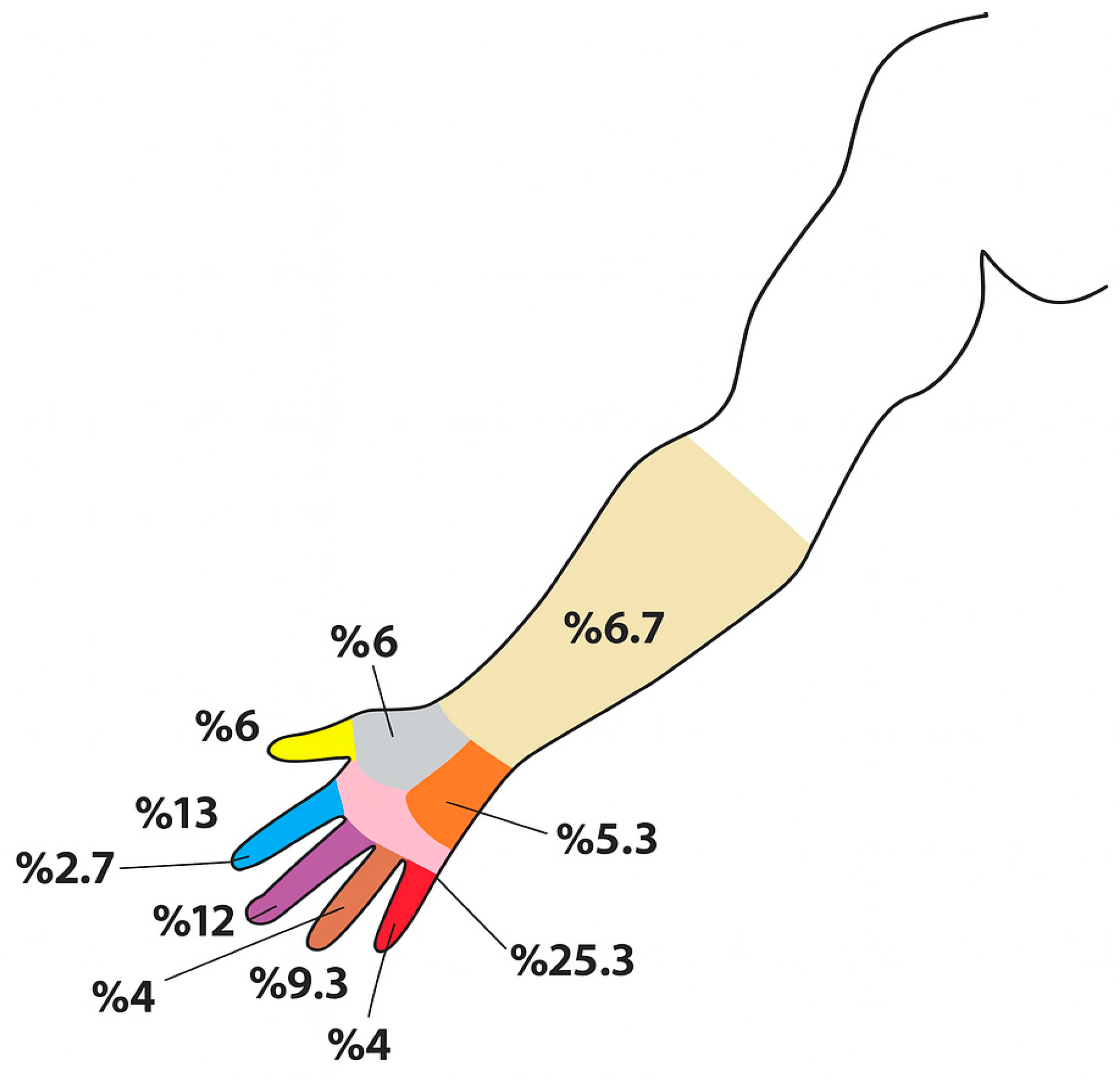 Healthcare 13 01826 g002