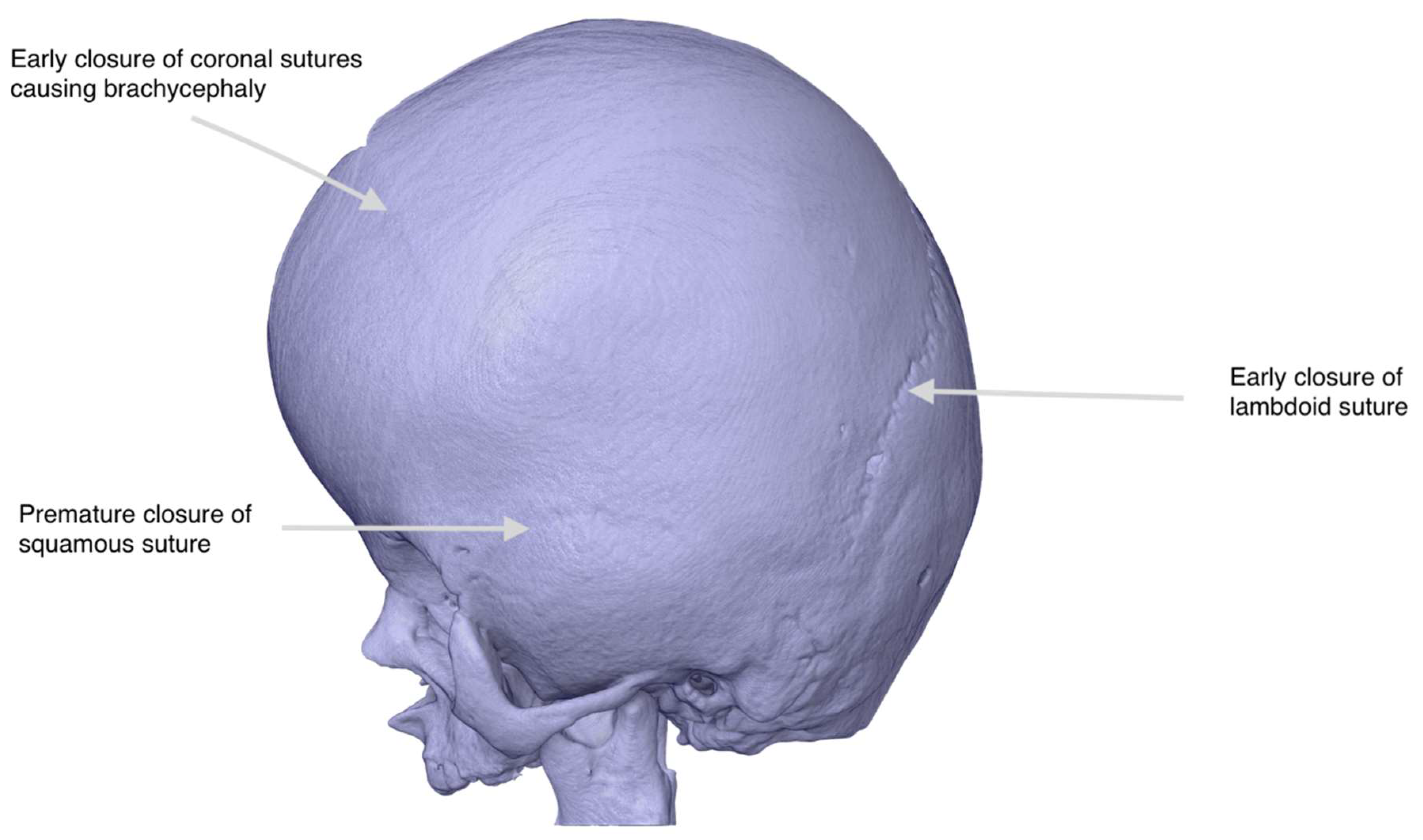 Healthcare 13 01844 g002