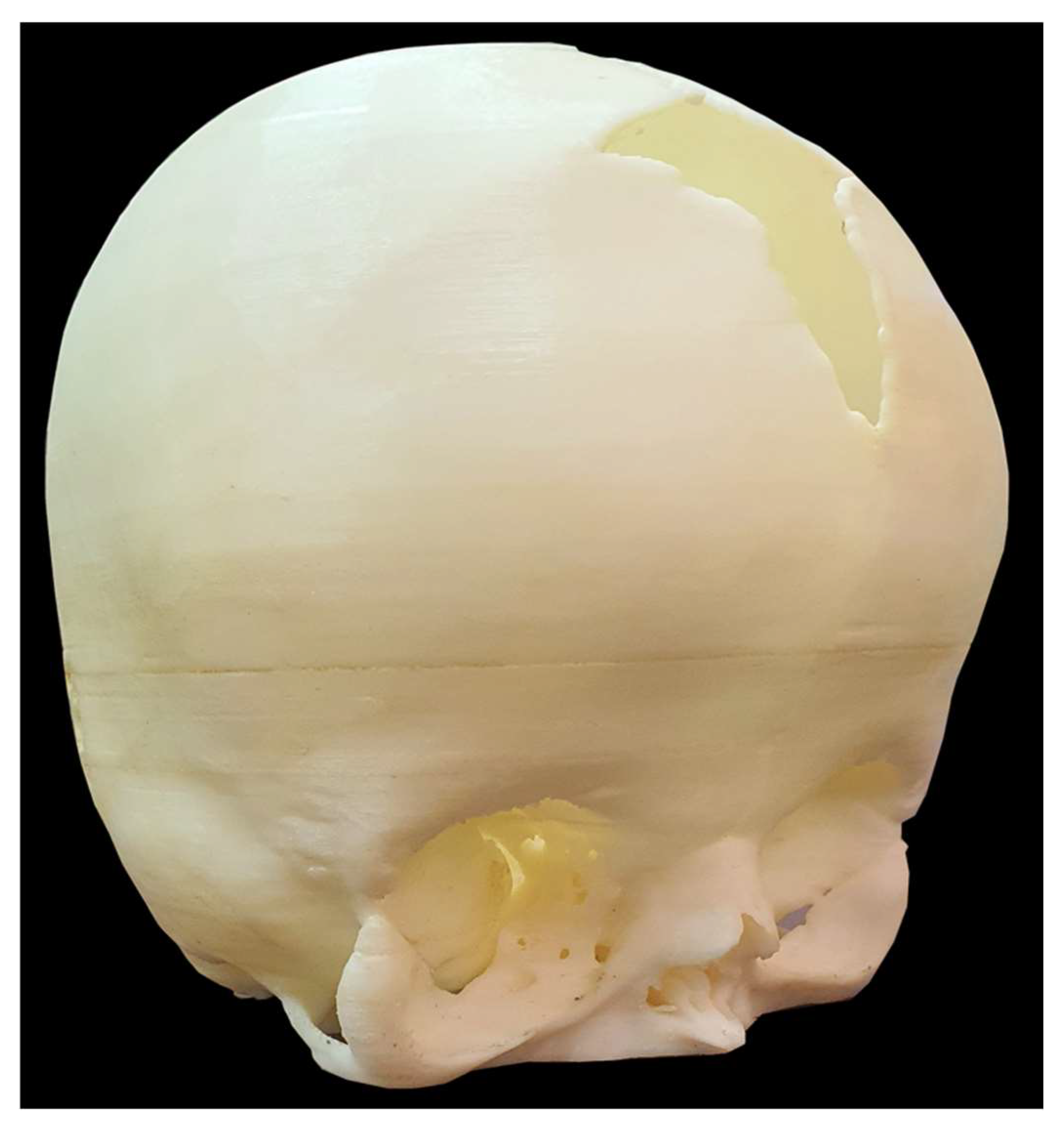 Healthcare 13 01844 g003