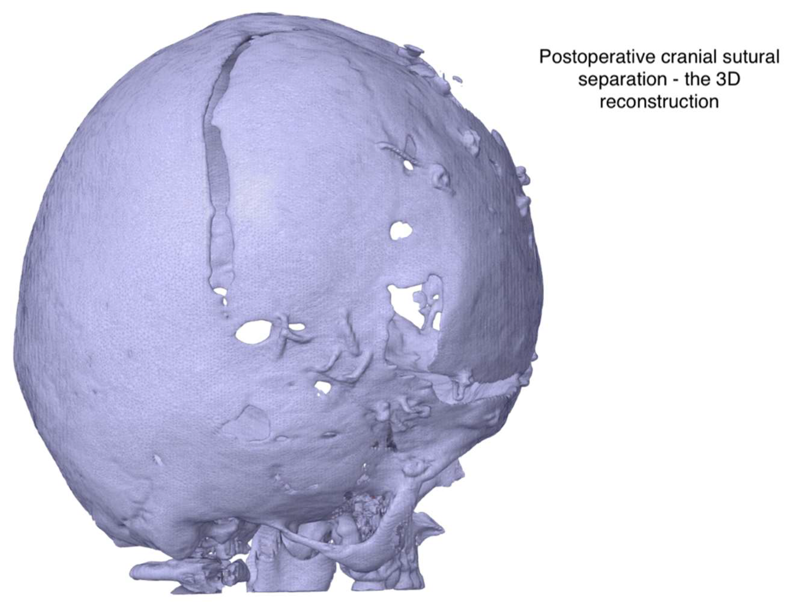 Healthcare 13 01844 g004