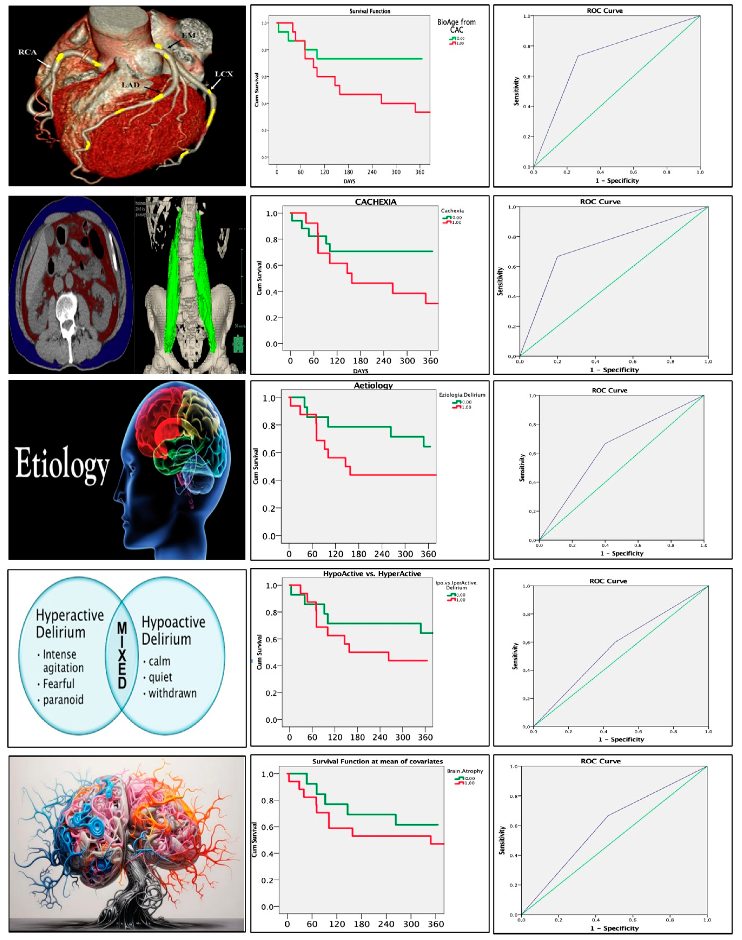 Healthcare 13 01871 g001