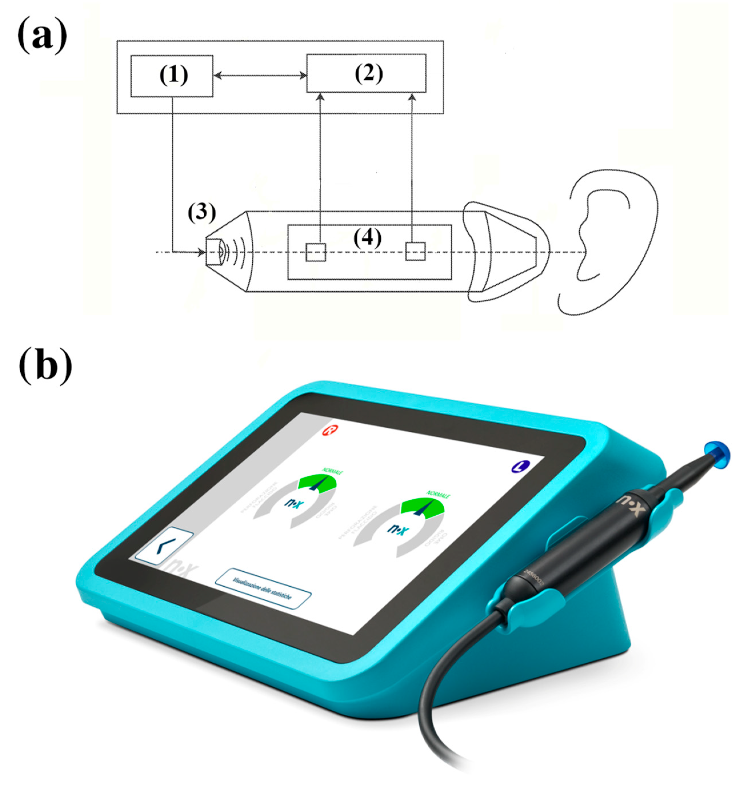 Healthcare 13 01921 g001