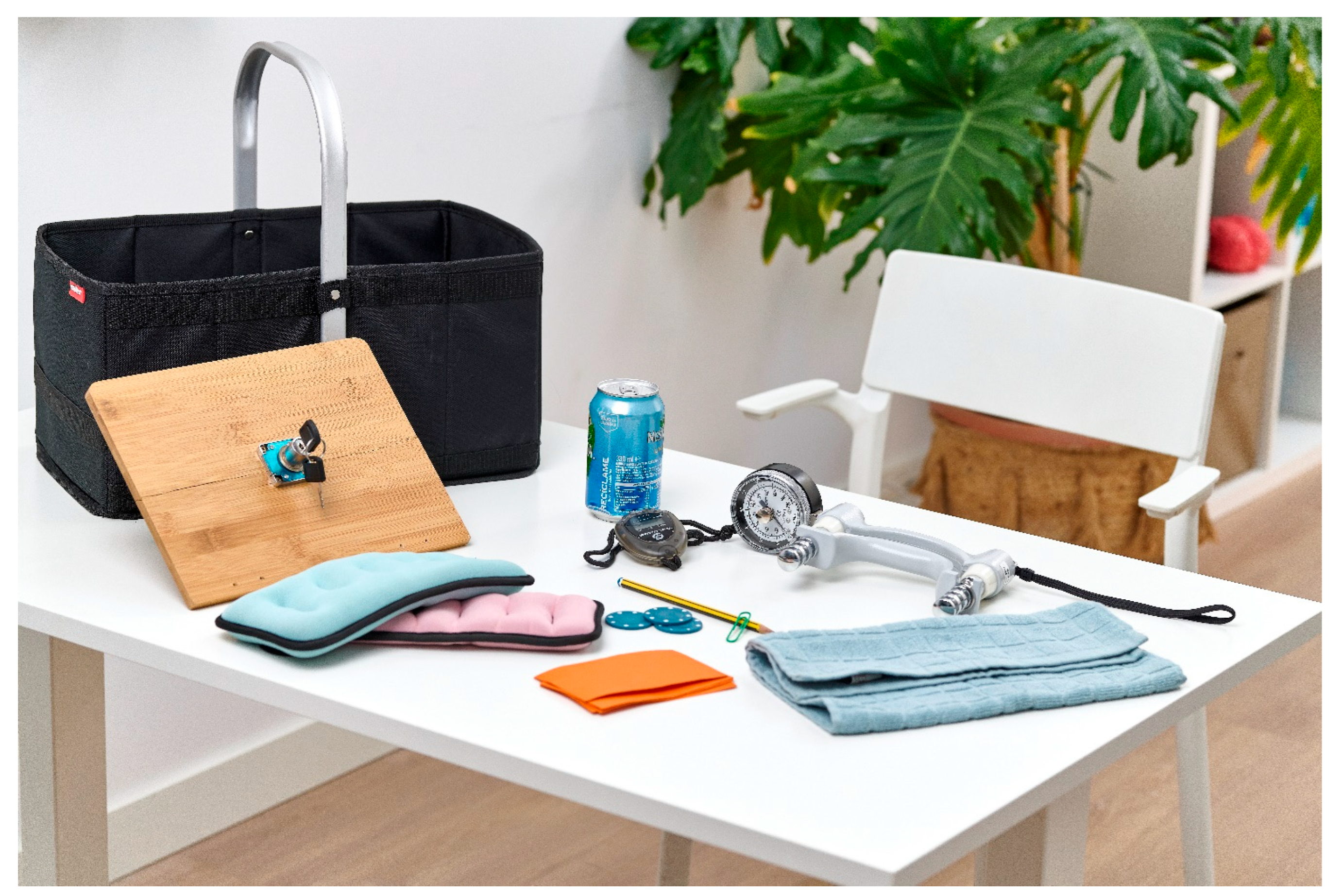 Healthcare 13 01969 g002