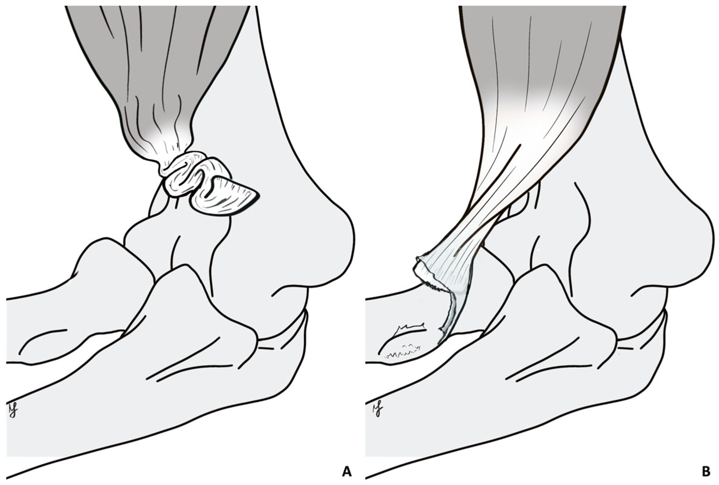 Healthcare 13 01977 g001 Healthcare 13 01977 g001