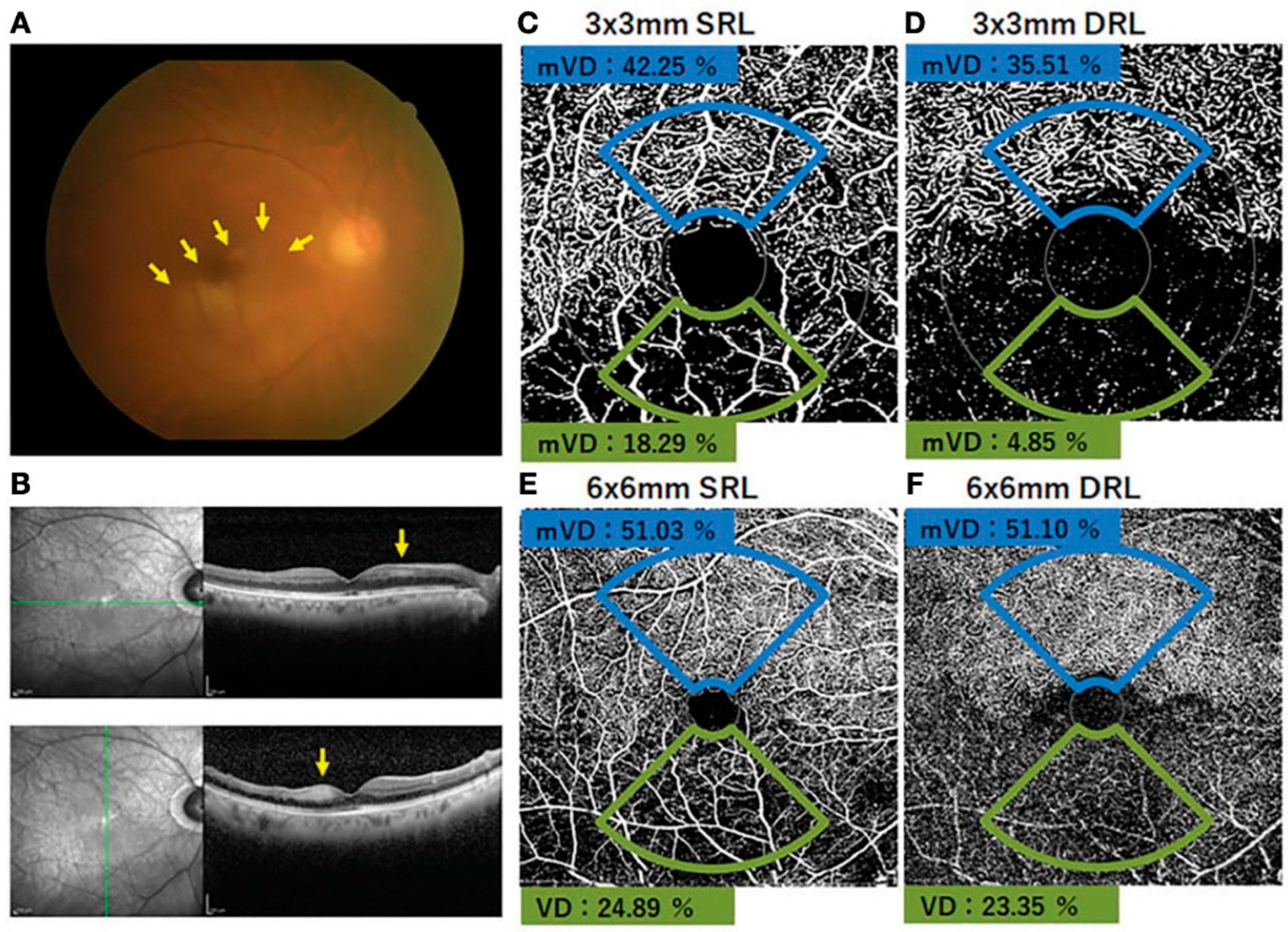 Healthcare 13 02056 g004 Healthcare 13 02056 g004