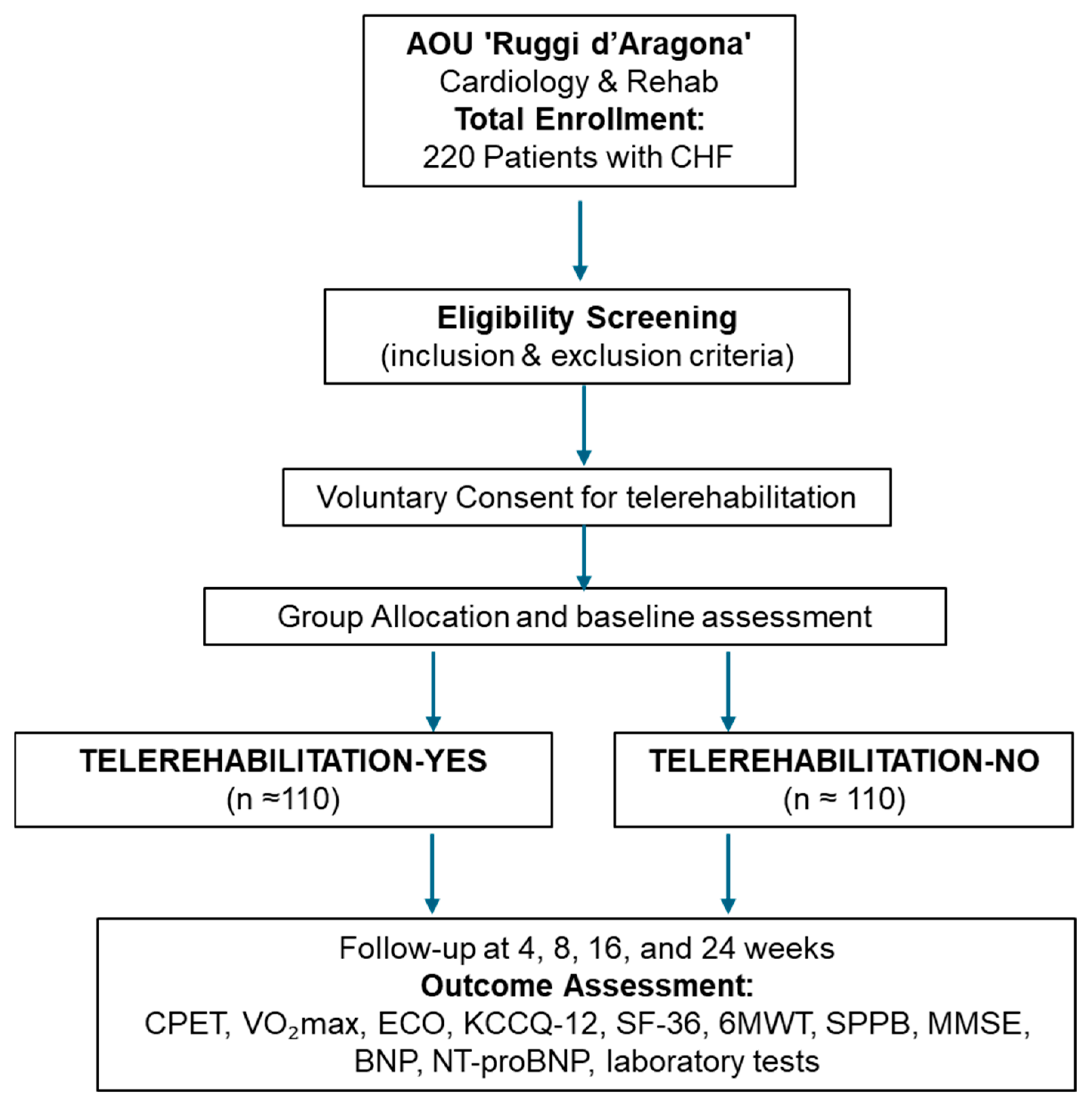 Healthcare 13 02074 g001 Healthcare 13 02074 g001