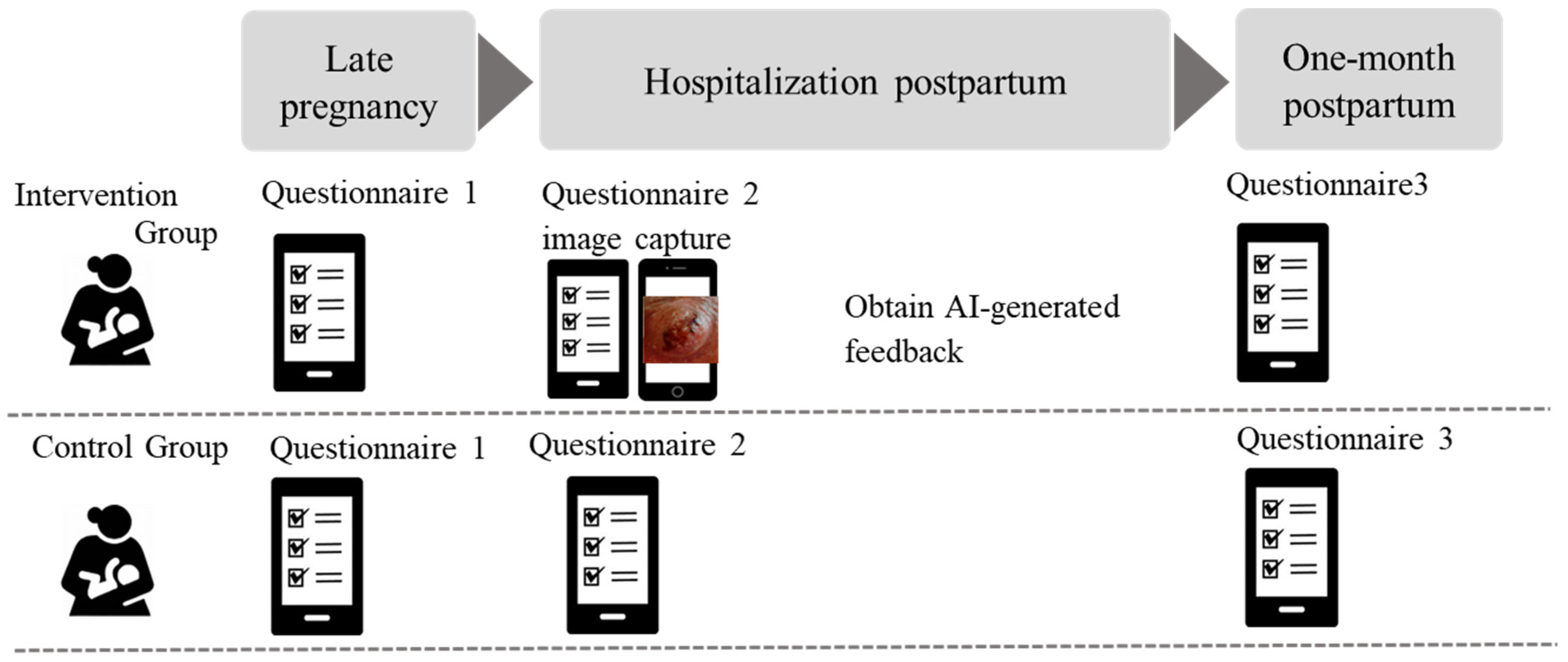 Healthcare 13 02091 g001