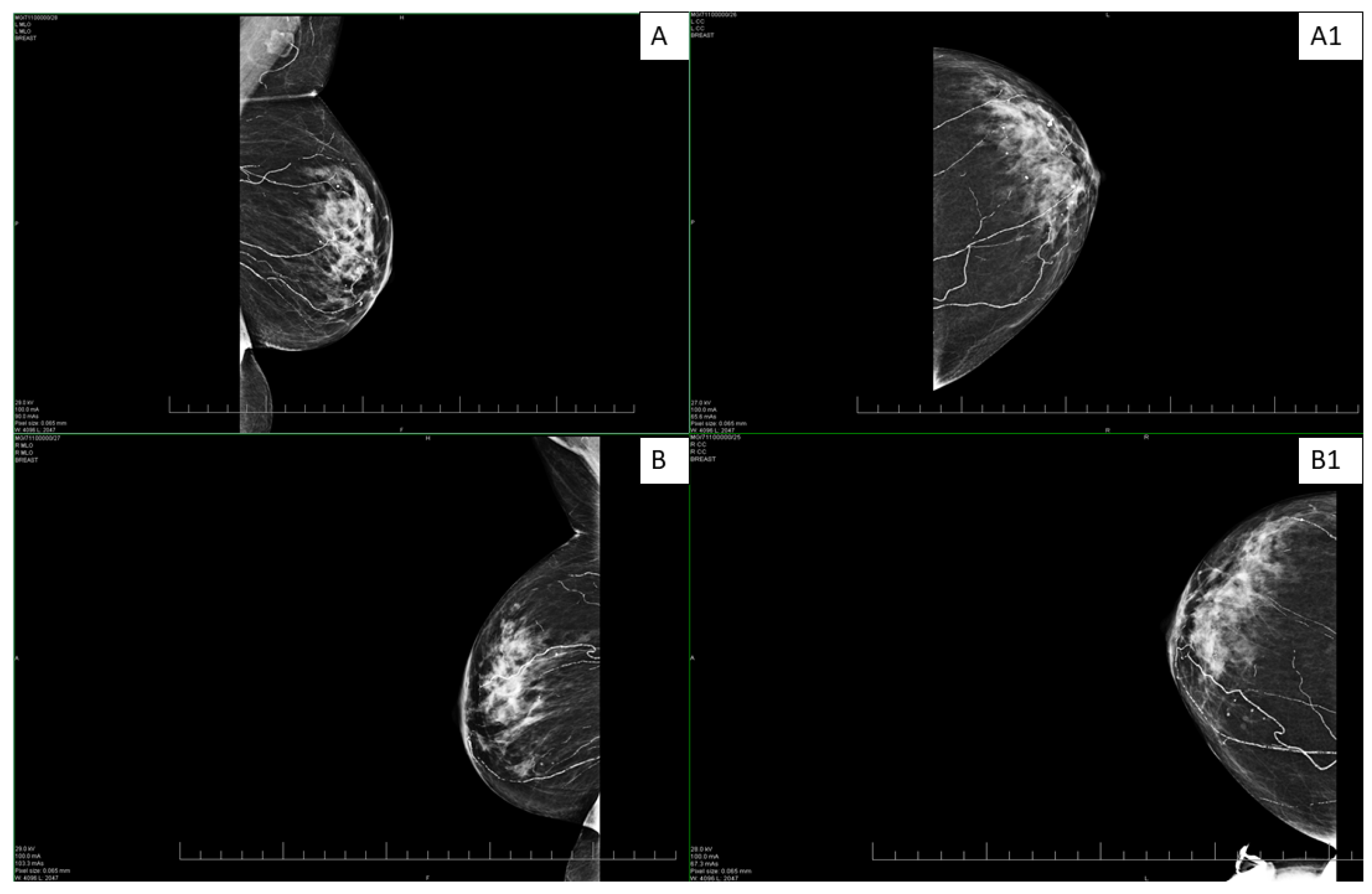 Healthcare 13 02175 g001