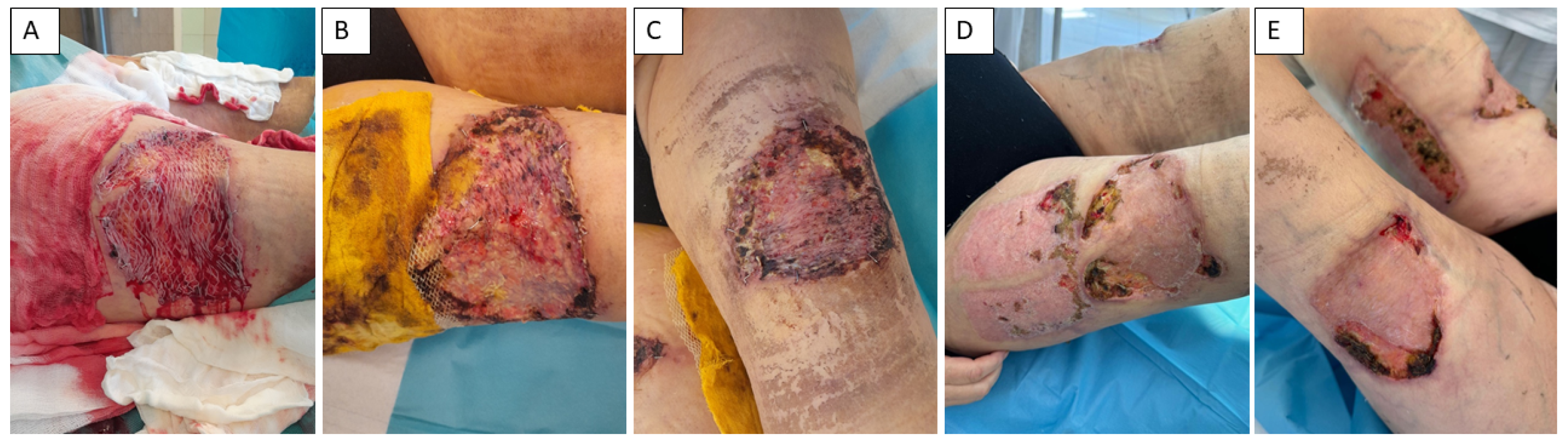 Healthcare 13 02175 g003