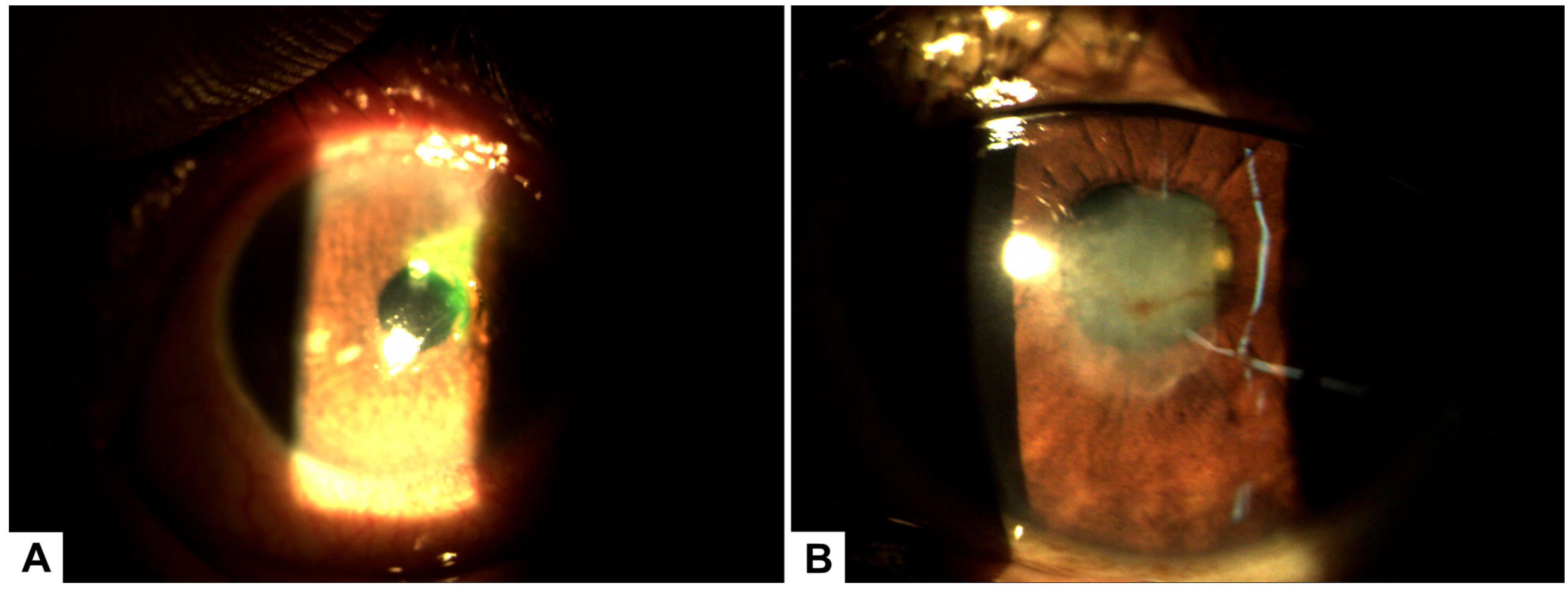 Healthcare 13 02184 g002 Healthcare 13 02184 g002