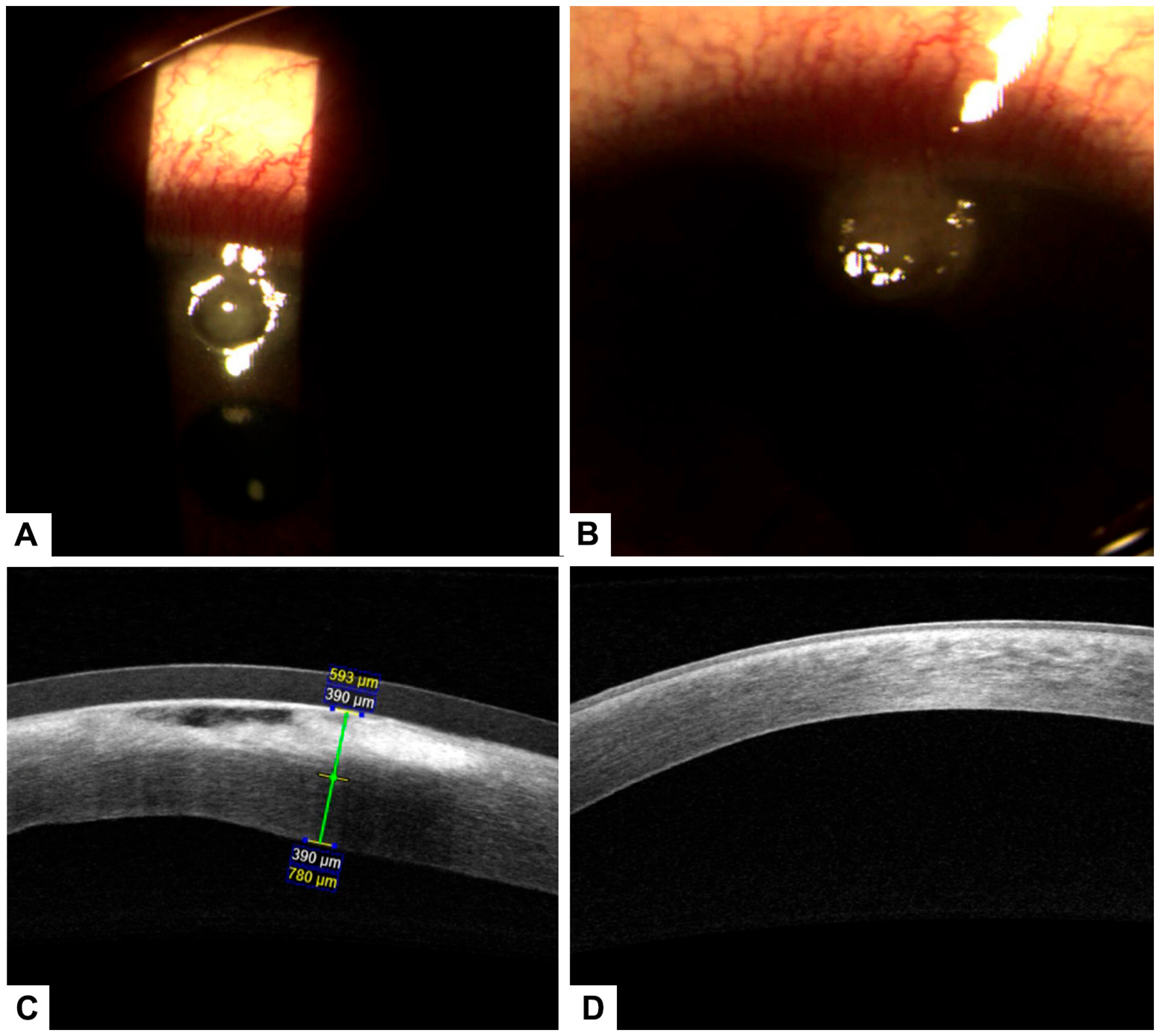 Healthcare 13 02184 g004 Healthcare 13 02184 g004