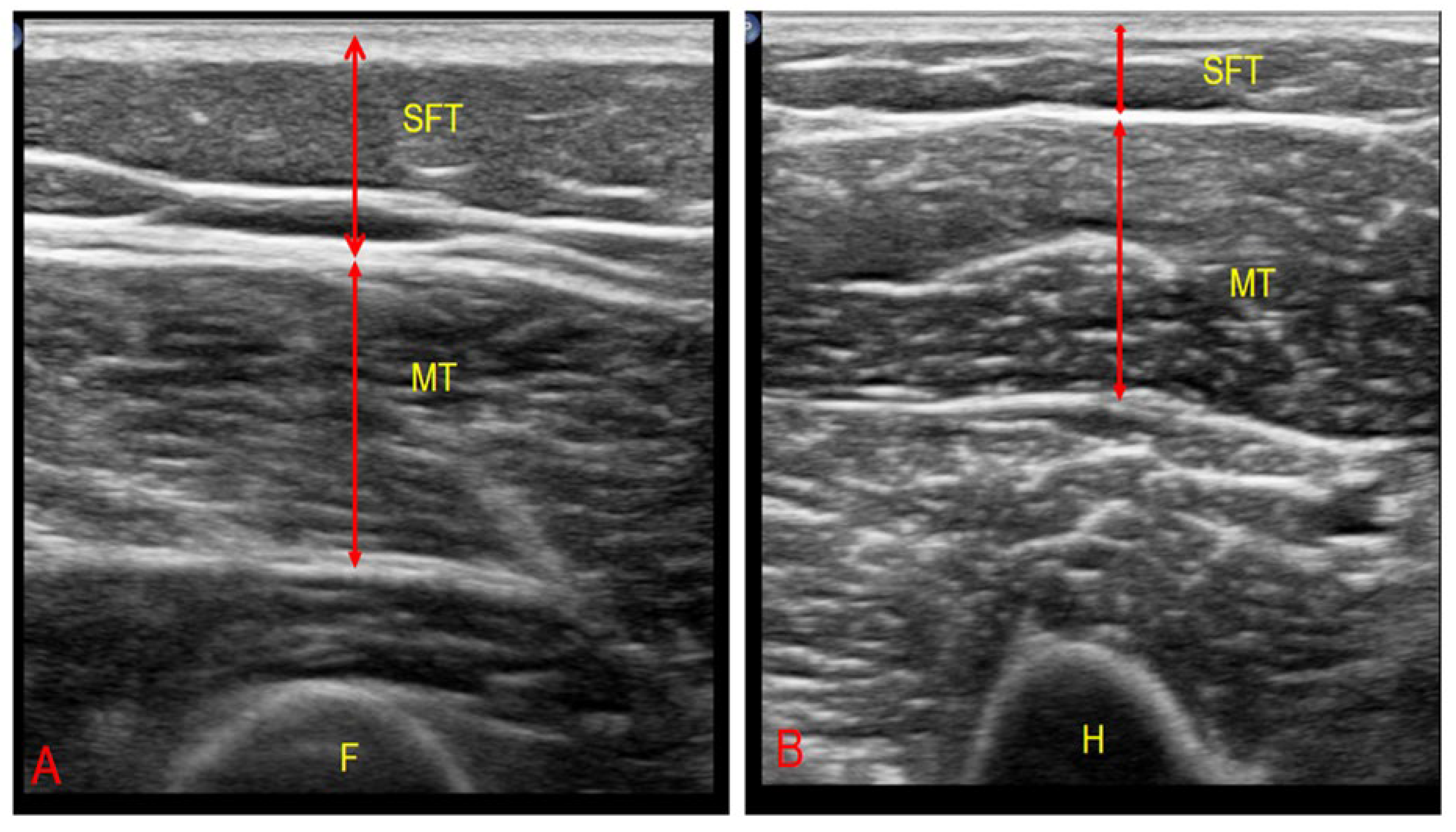 Healthcare 13 02188 g002 Healthcare 13 02188 g002