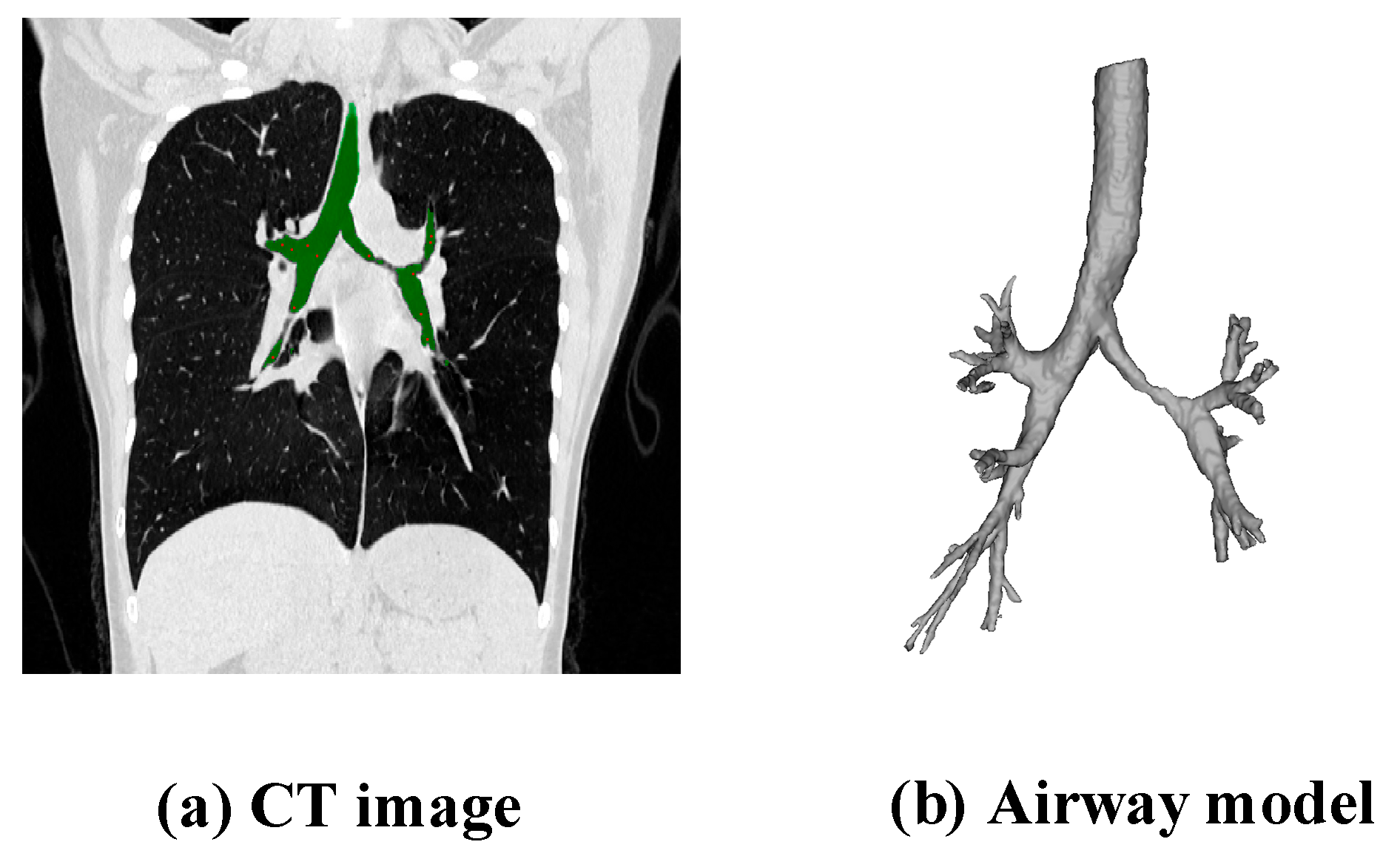 Healthcare 13 02196 g002 Healthcare 13 02196 g002