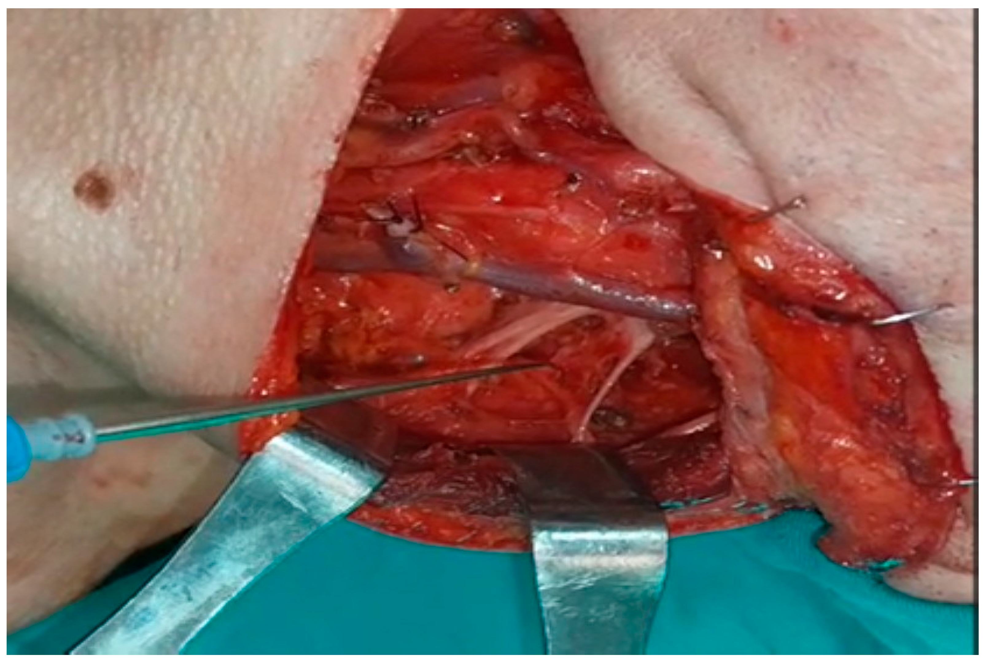 Healthcare 13 02297 g003