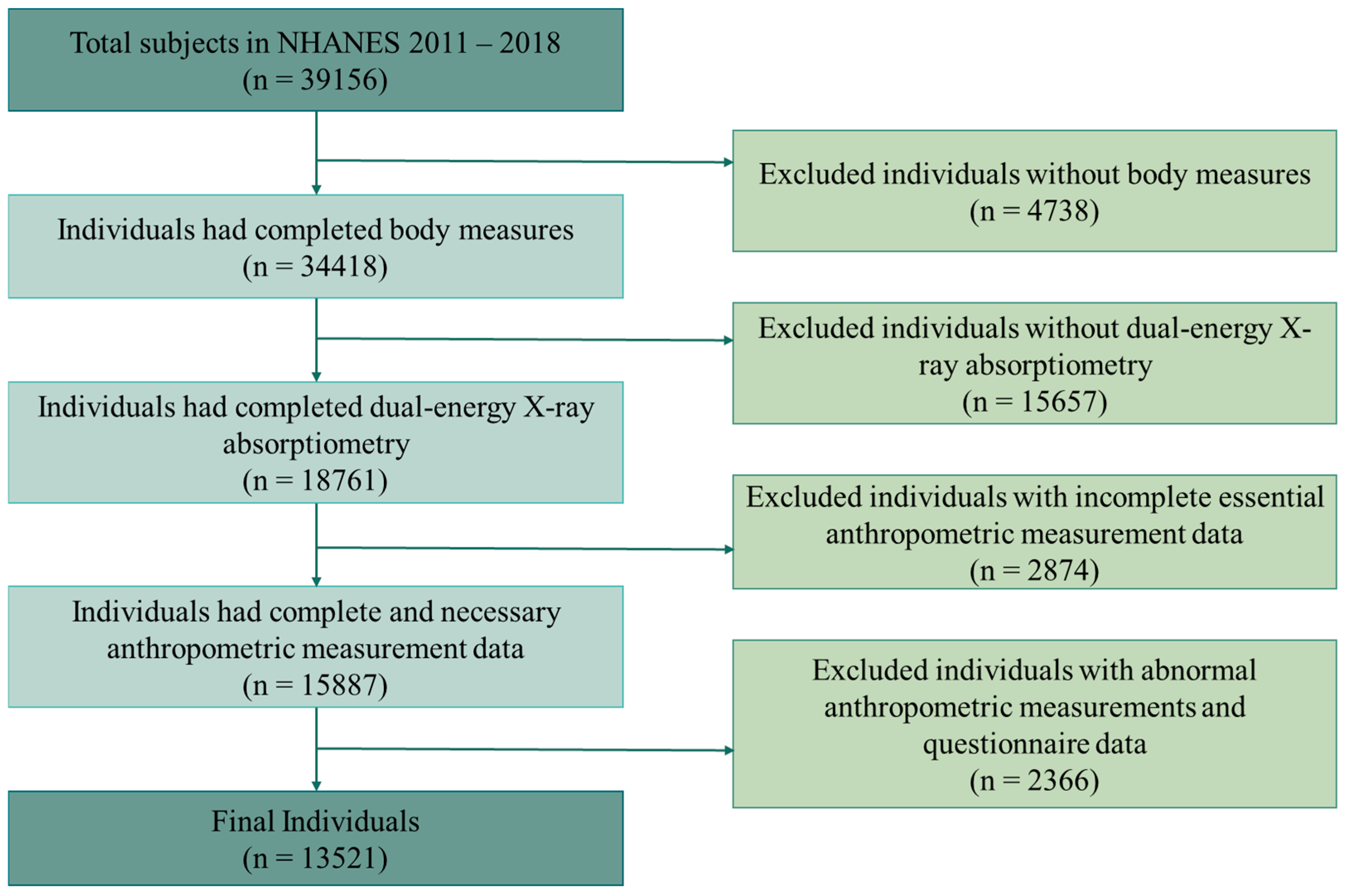 Healthcare 13 02309 g002