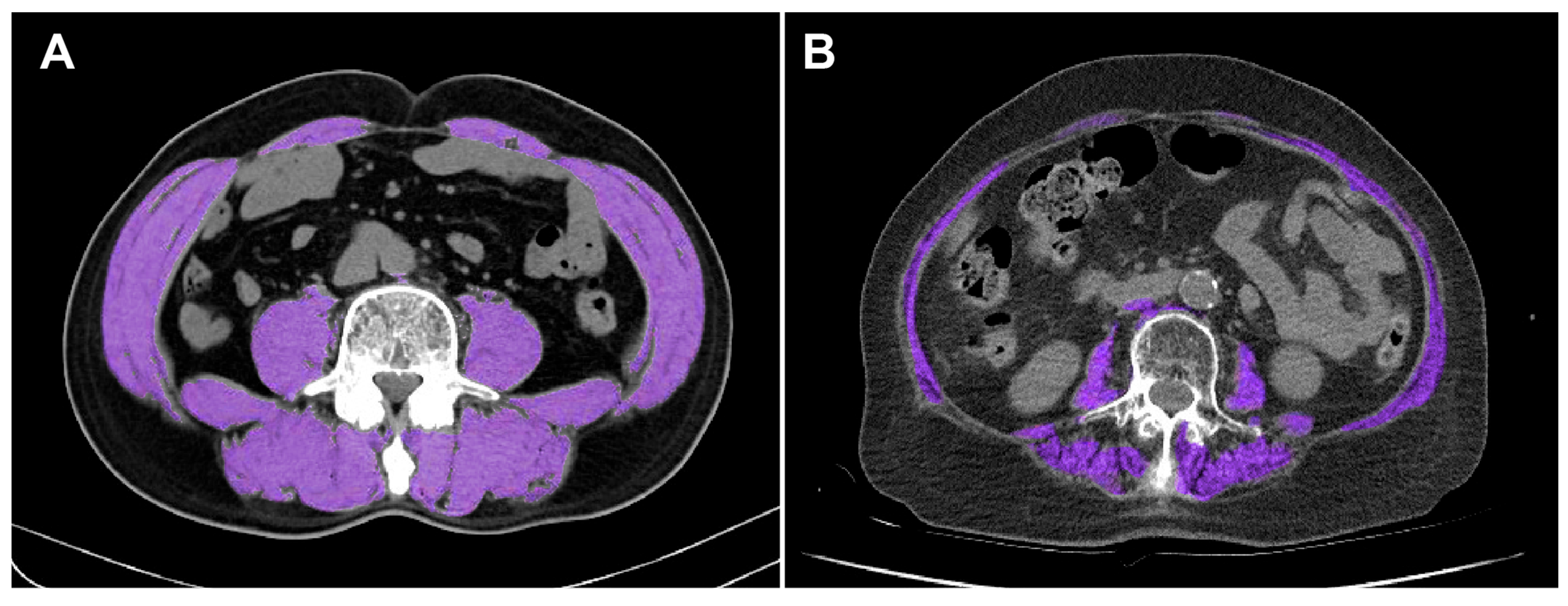 Healthcare 13 02321 g002