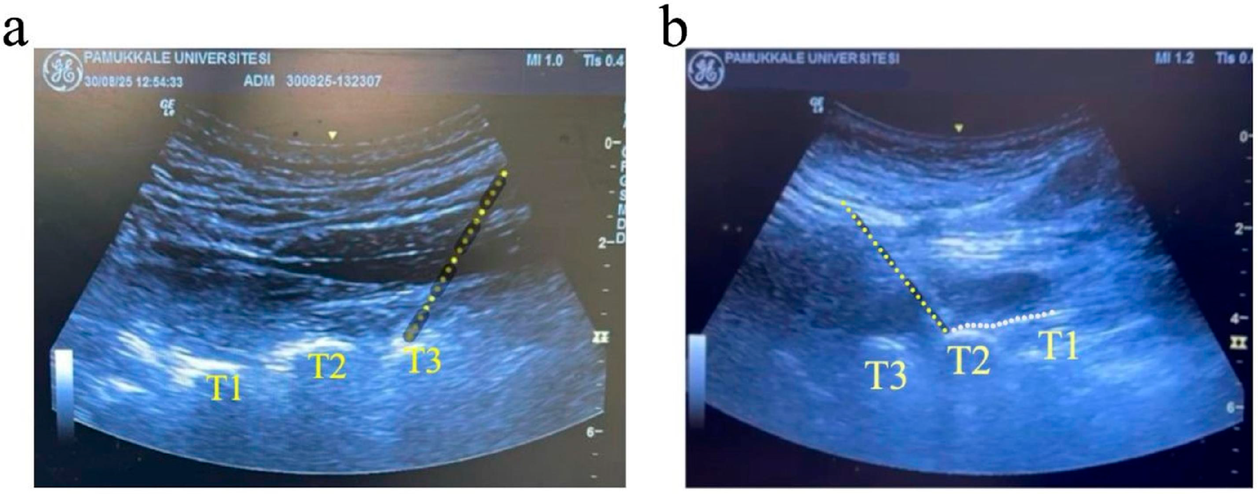 Healthcare 13 02322 g001 Healthcare 13 02322 g001