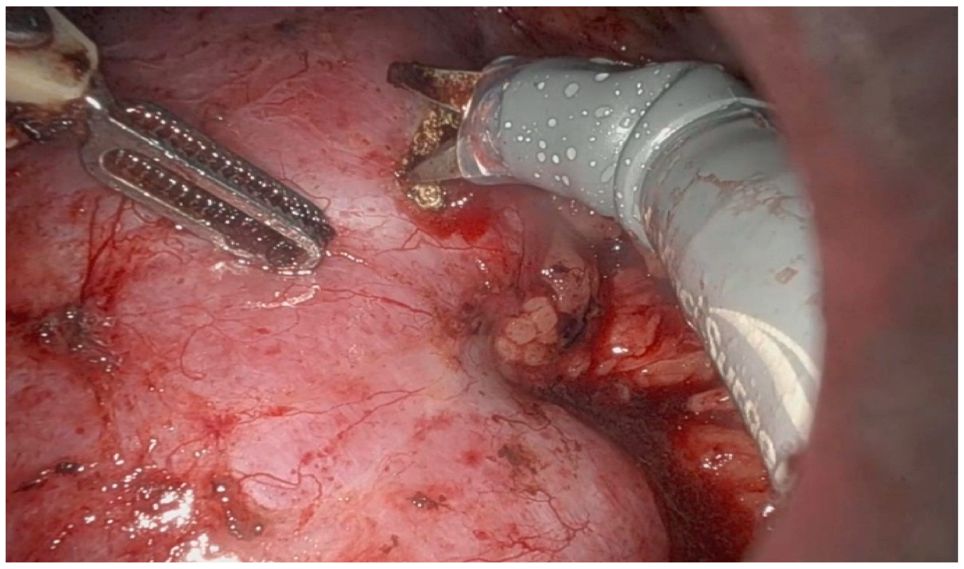 Healthcare 13 02325 g001