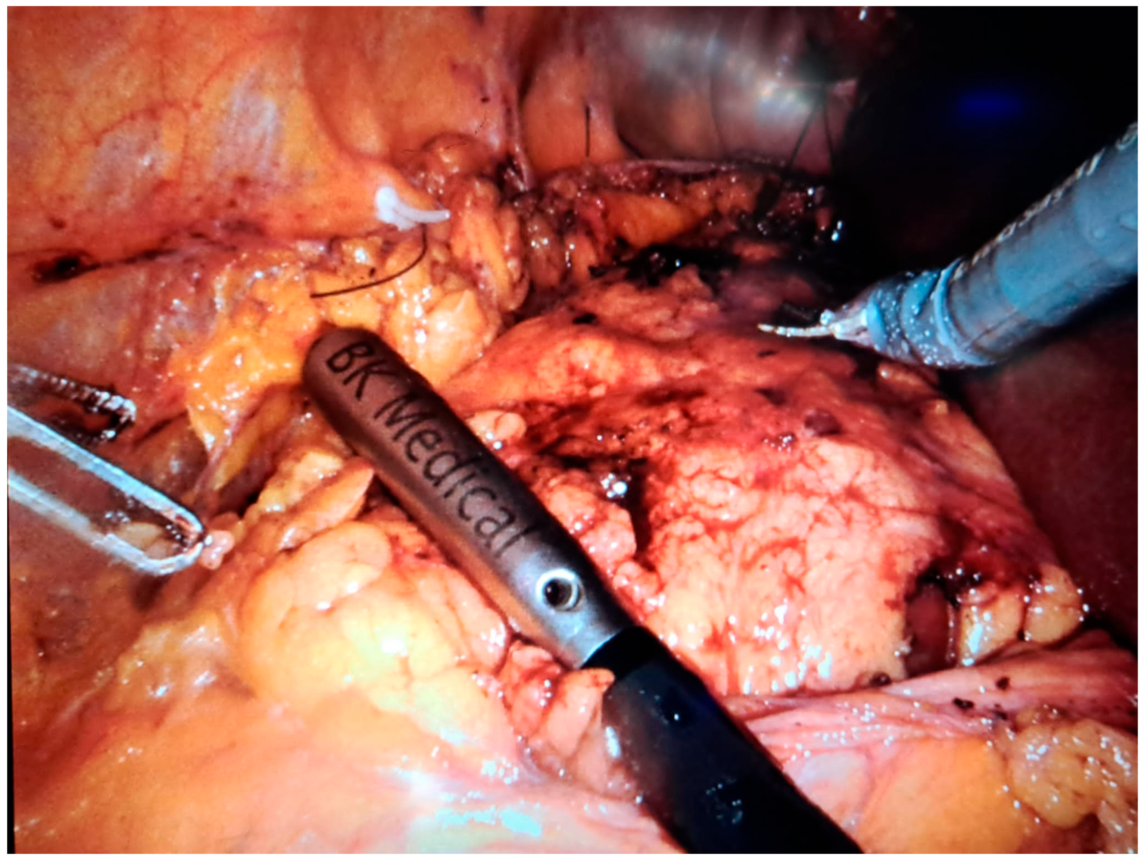 Healthcare 13 02325 g003