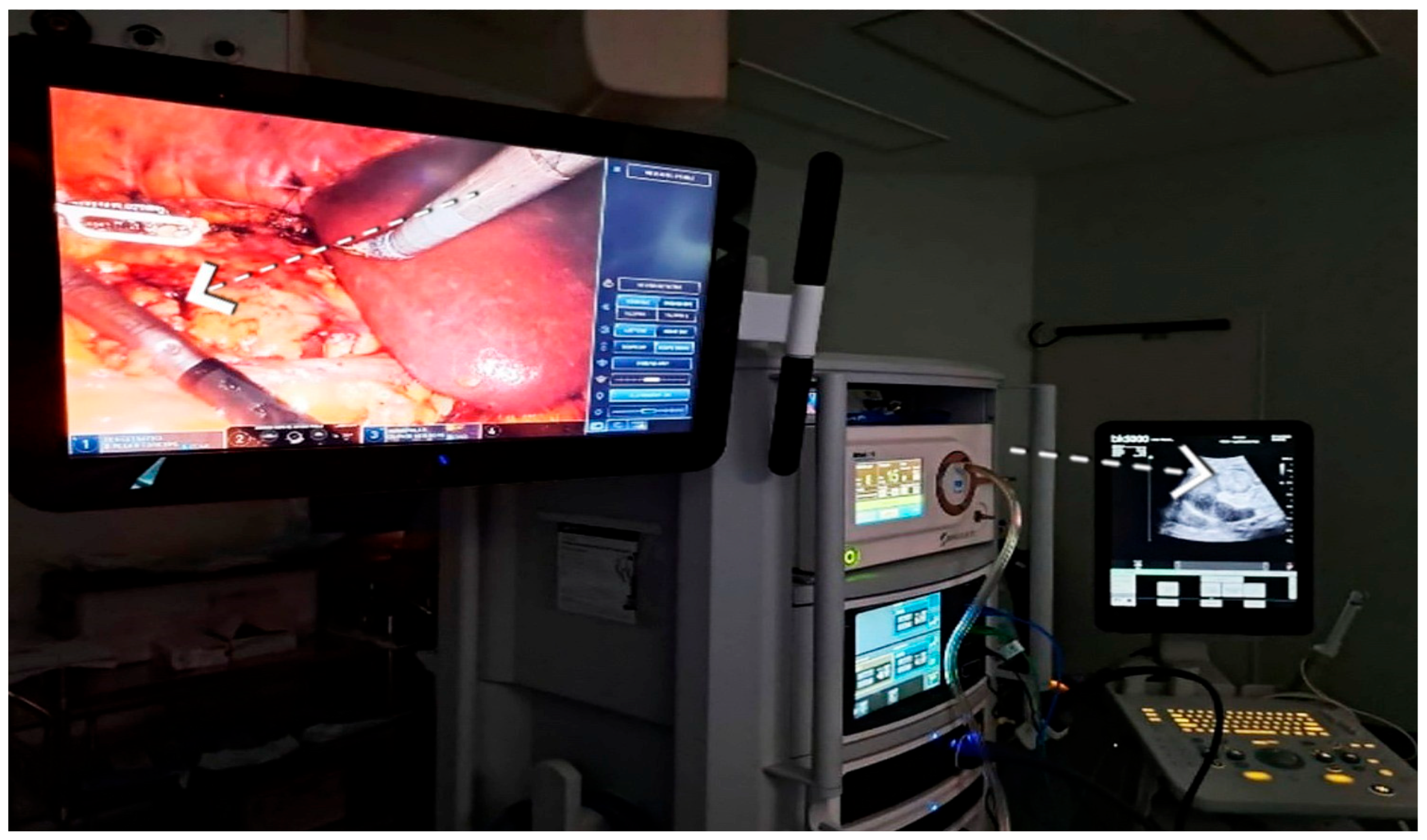 Healthcare 13 02325 g004