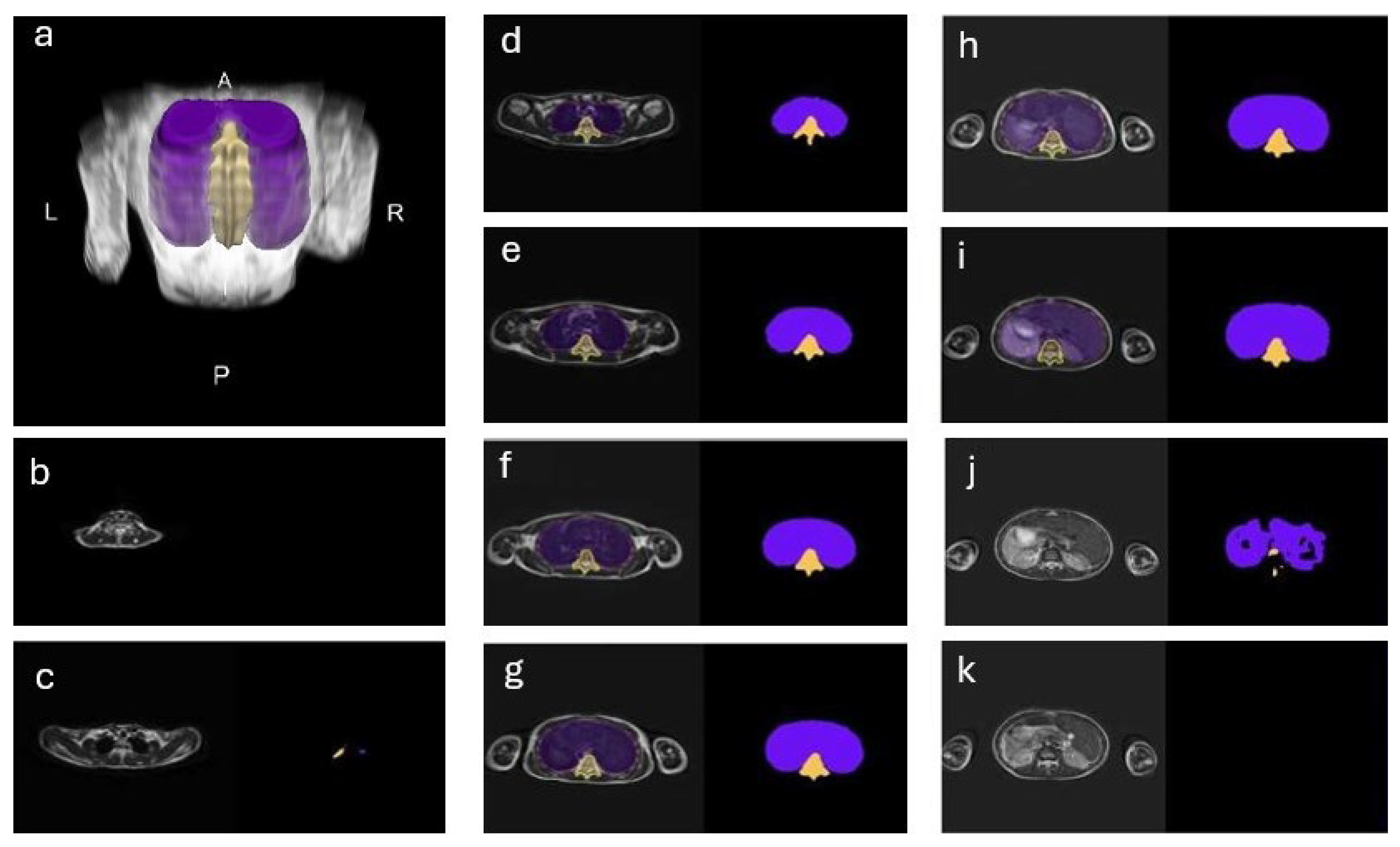 Healthcare 13 02327 g001