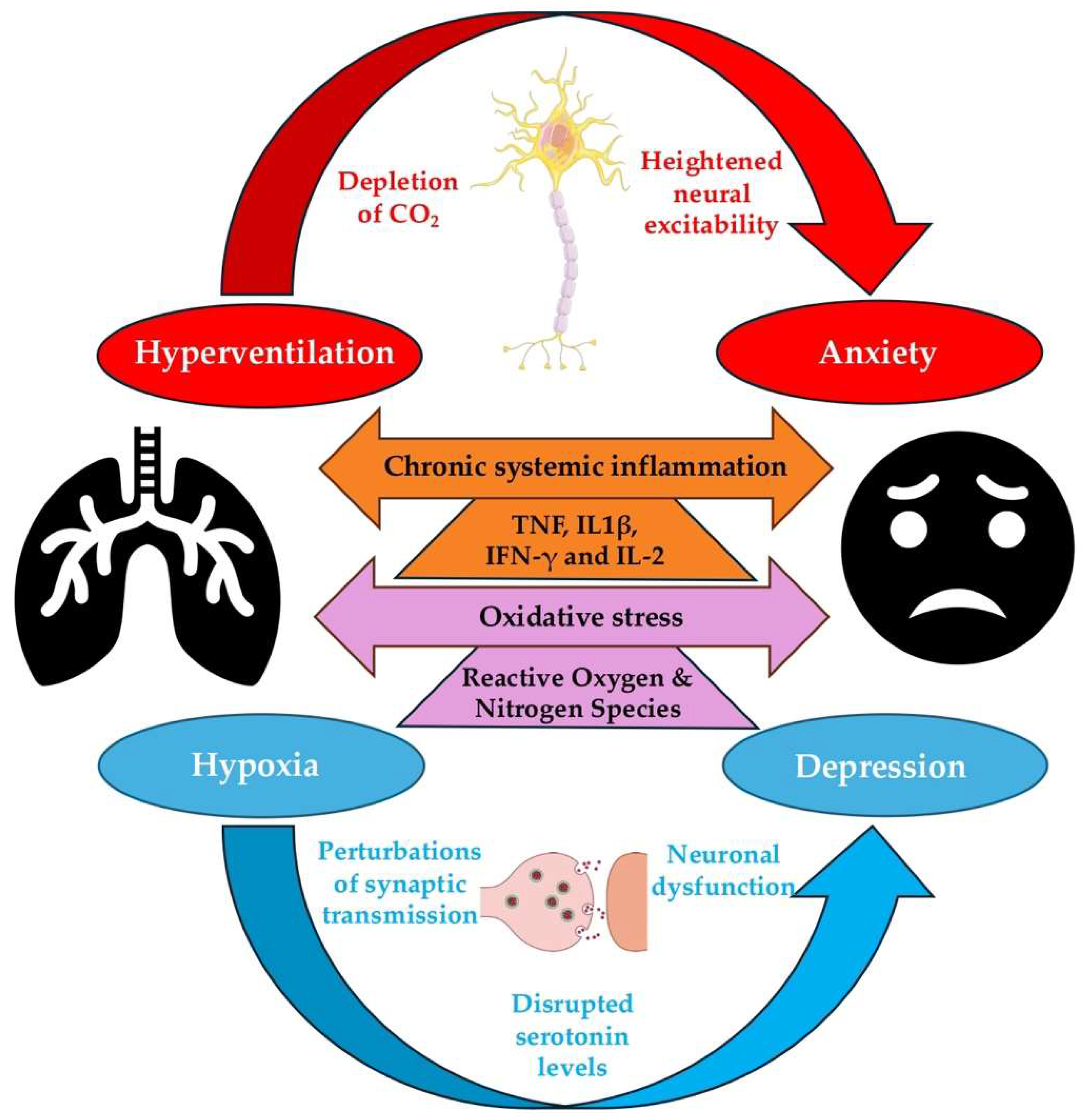 Healthcare 13 02344 g002 Healthcare 13 02344 g002