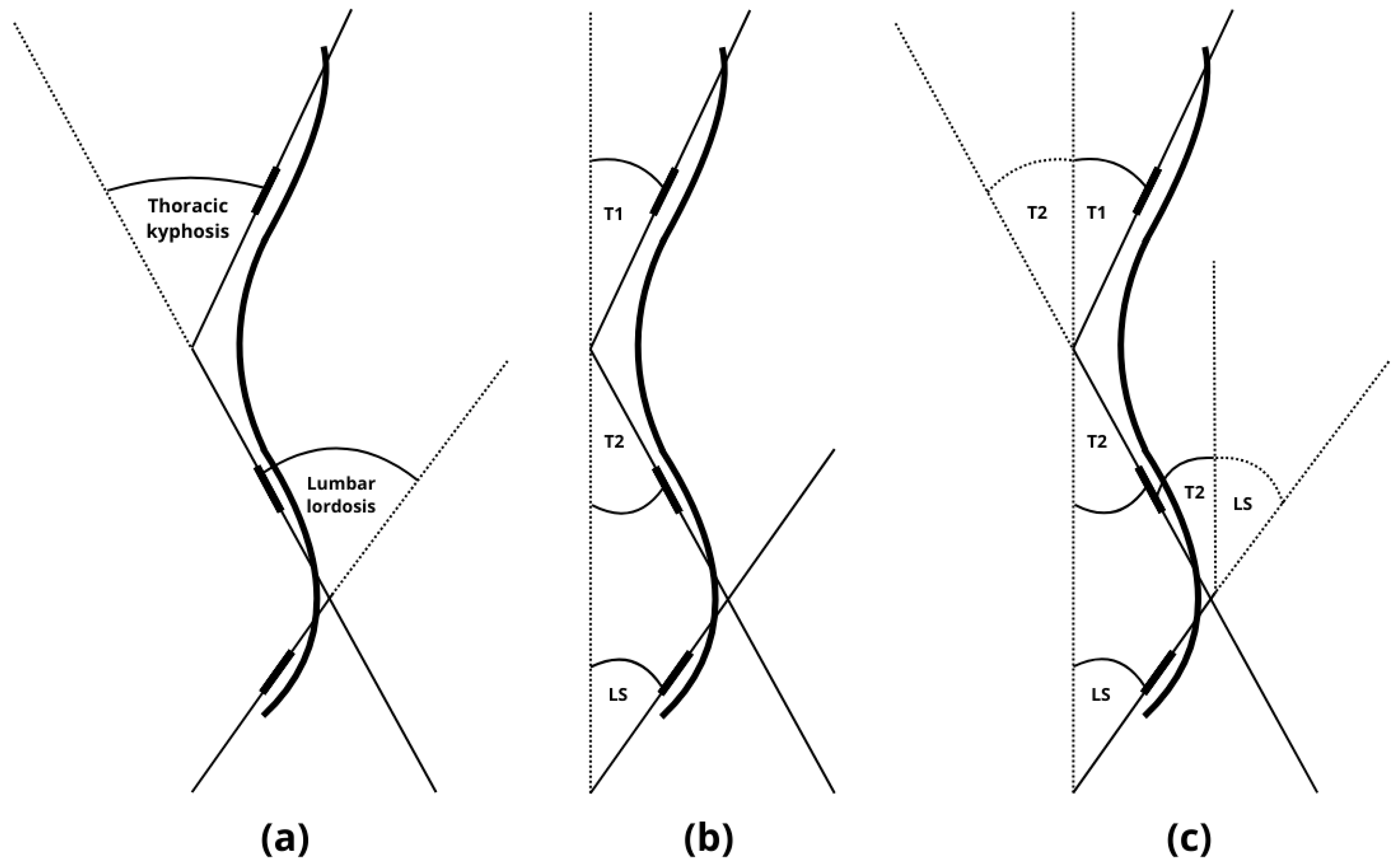 Healthcare 13 02392 g004 Healthcare 13 02392 g004