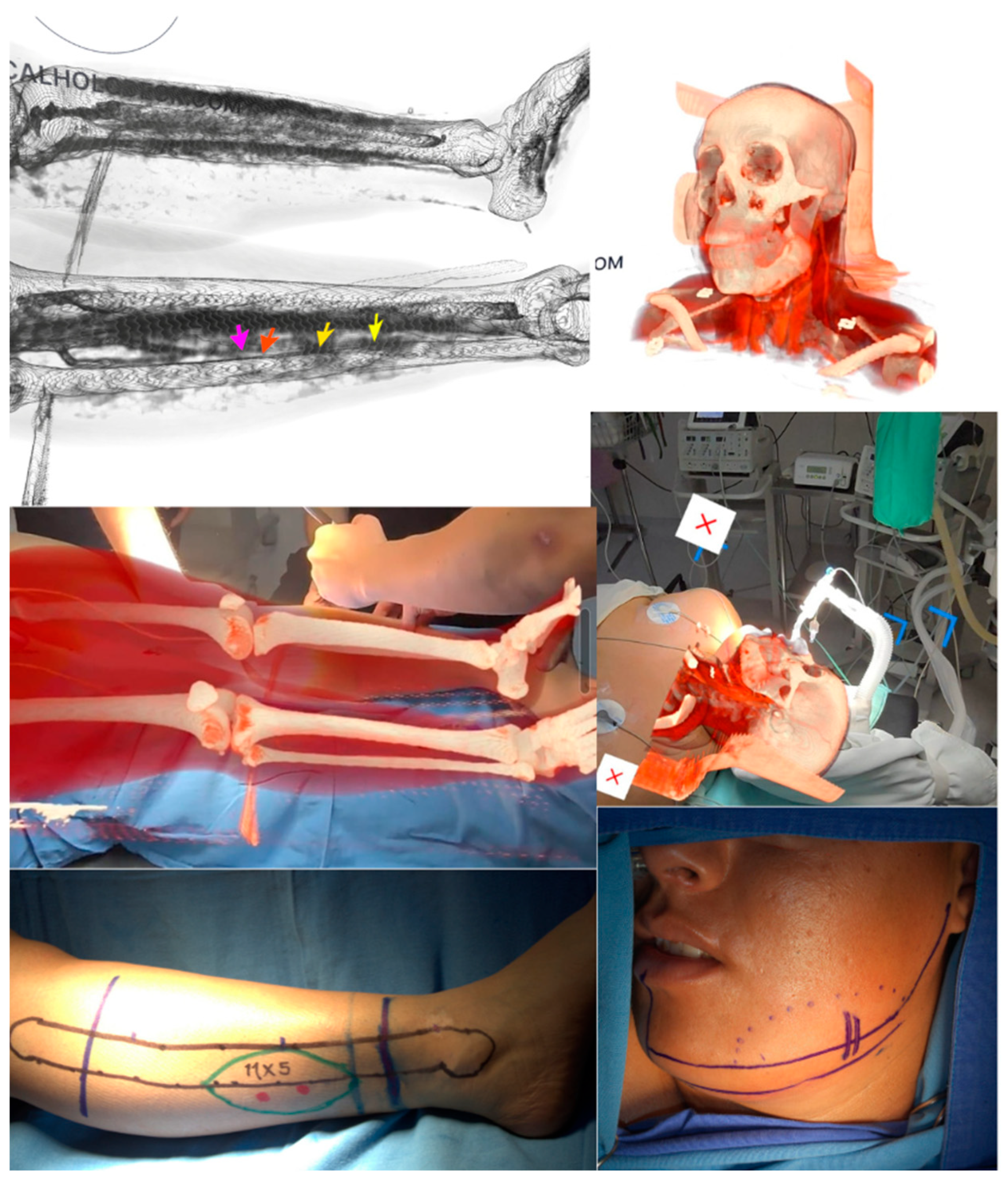 Healthcare 13 02406 g001 Healthcare 13 02406 g001