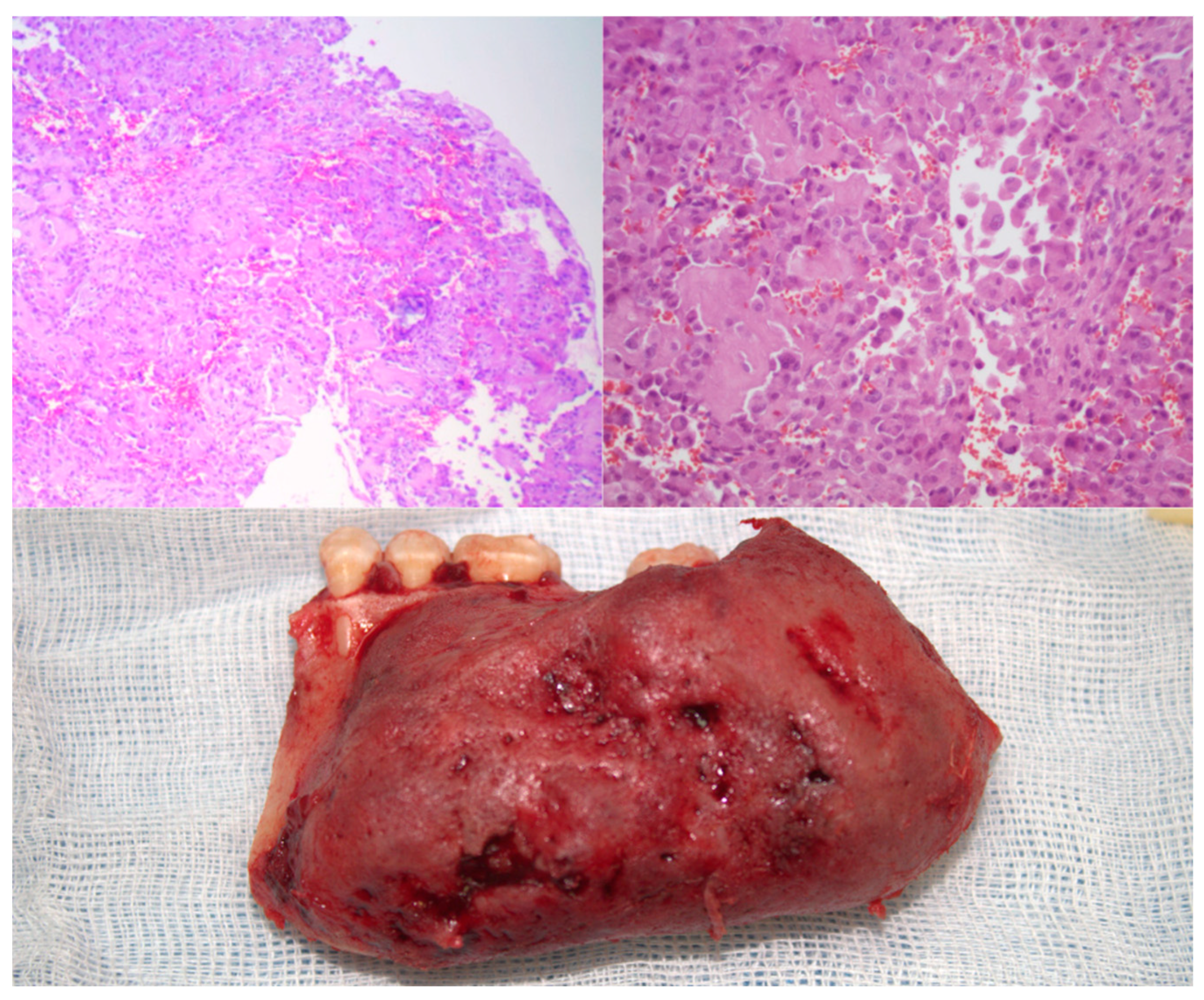 Healthcare 13 02406 g002 Healthcare 13 02406 g002