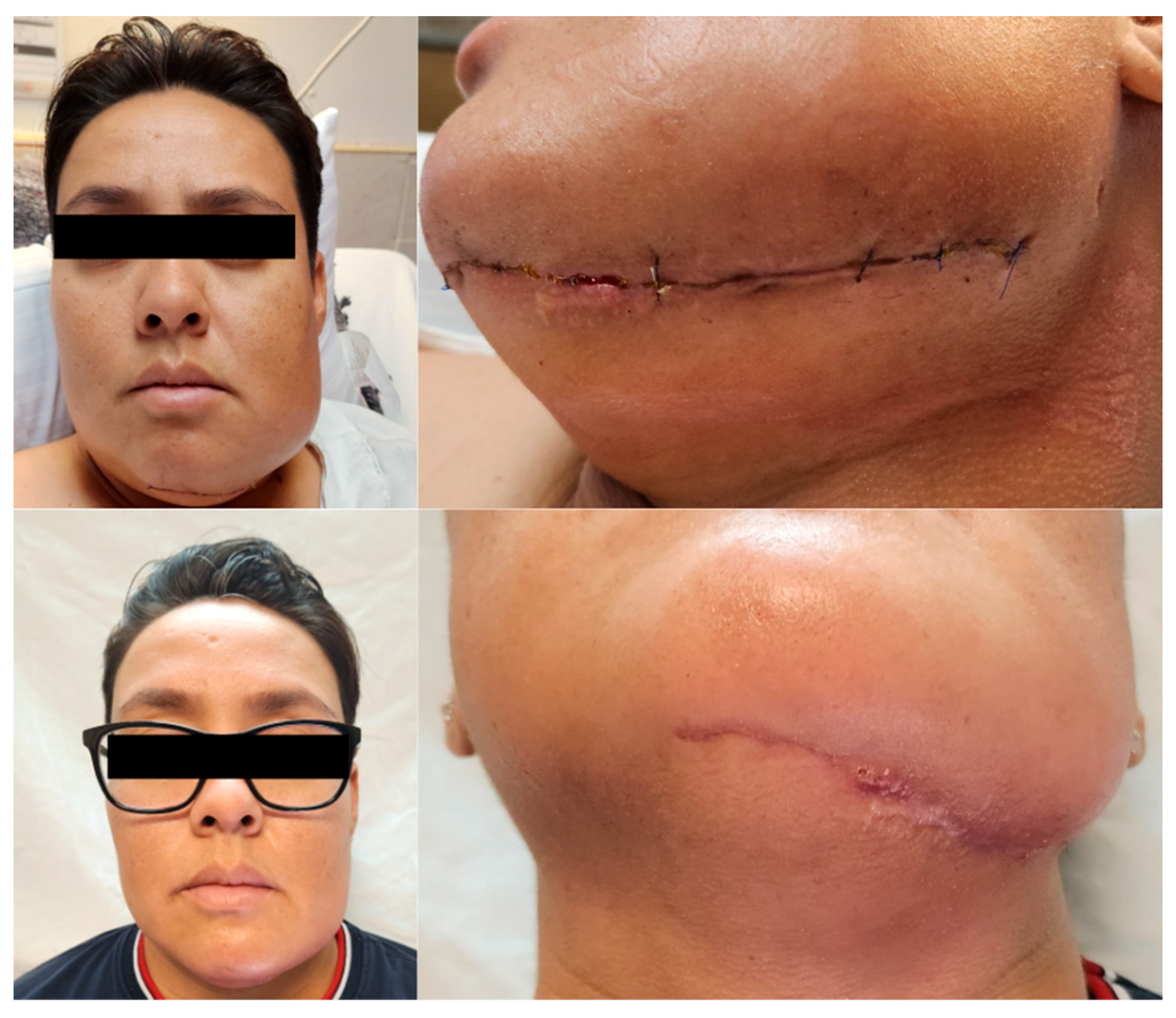 Healthcare 13 02406 g004 Healthcare 13 02406 g004